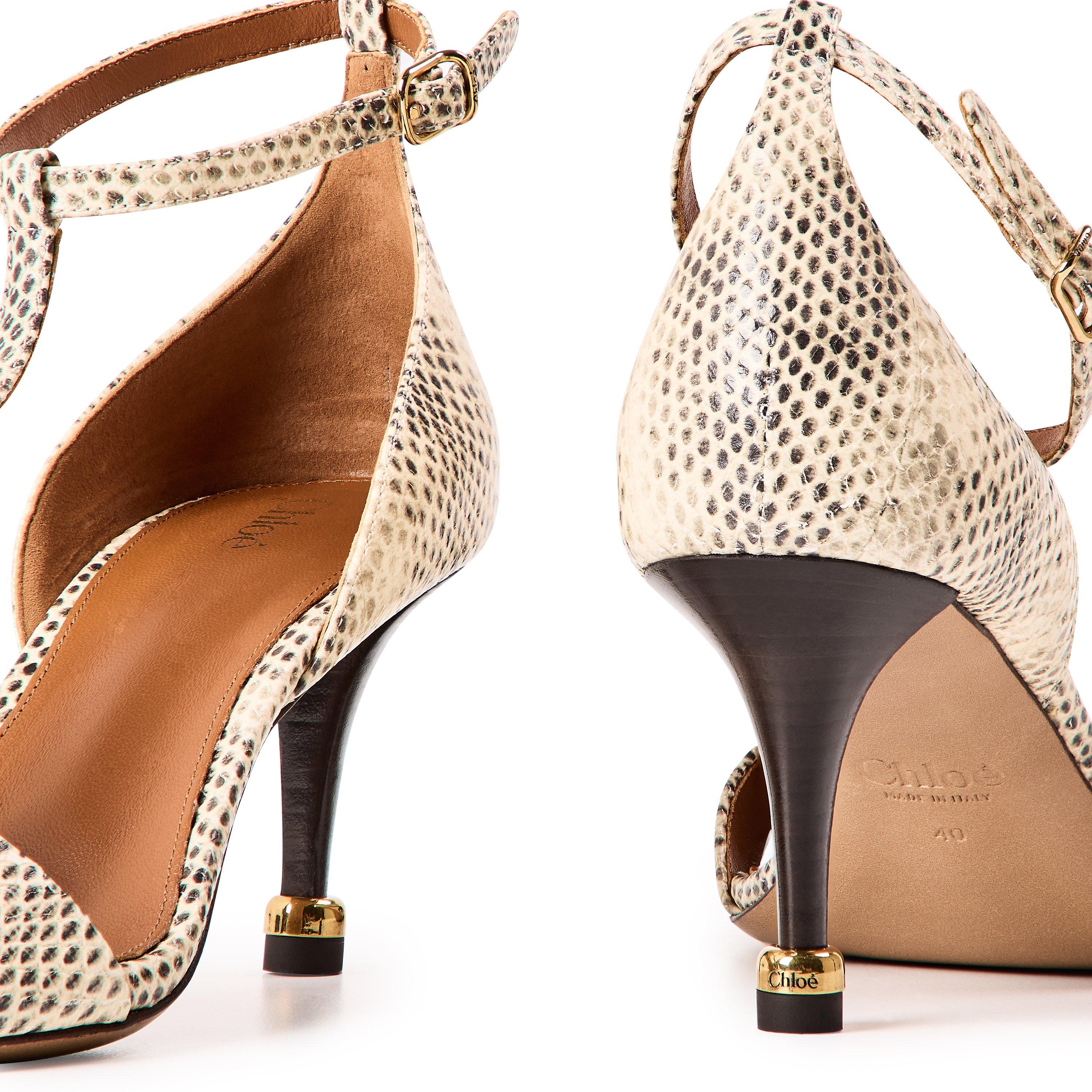 Buttercream - Chloe - Women's Cleia Court Shoes - 4