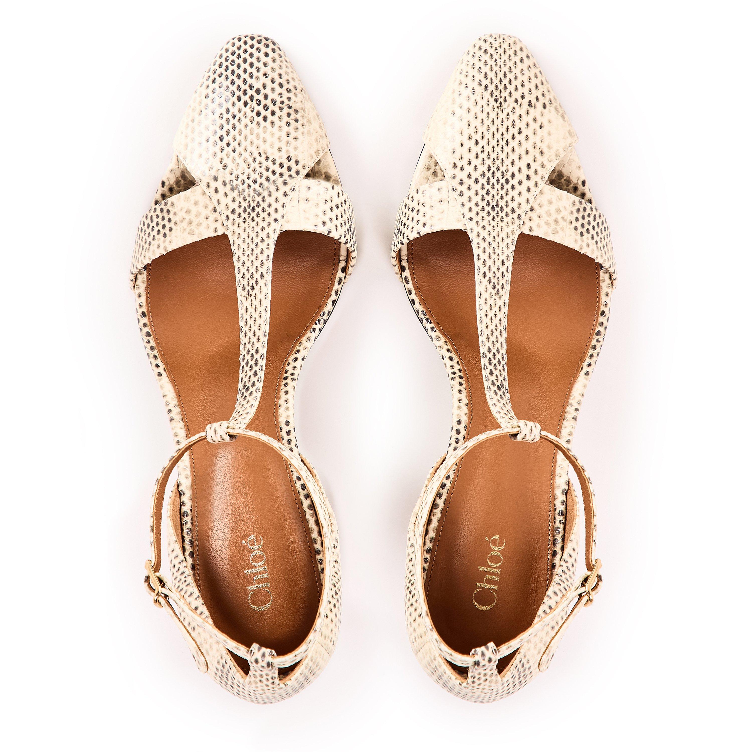 Buttercream - Chloe - Women's Cleia Court Shoes - 5