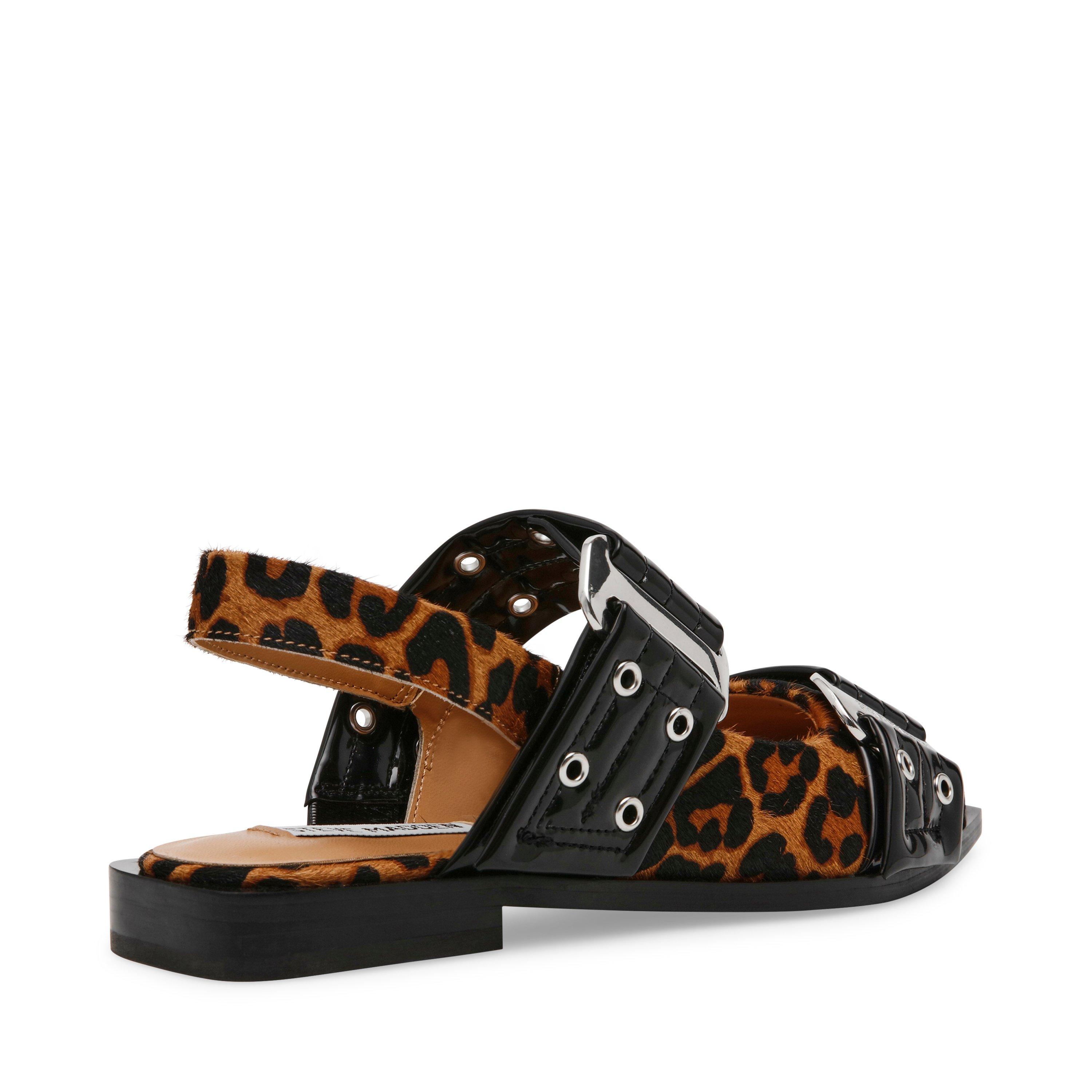 Léopard - Steve Madden - Women's Grand Ave Buckle Ballet Pumps - 3