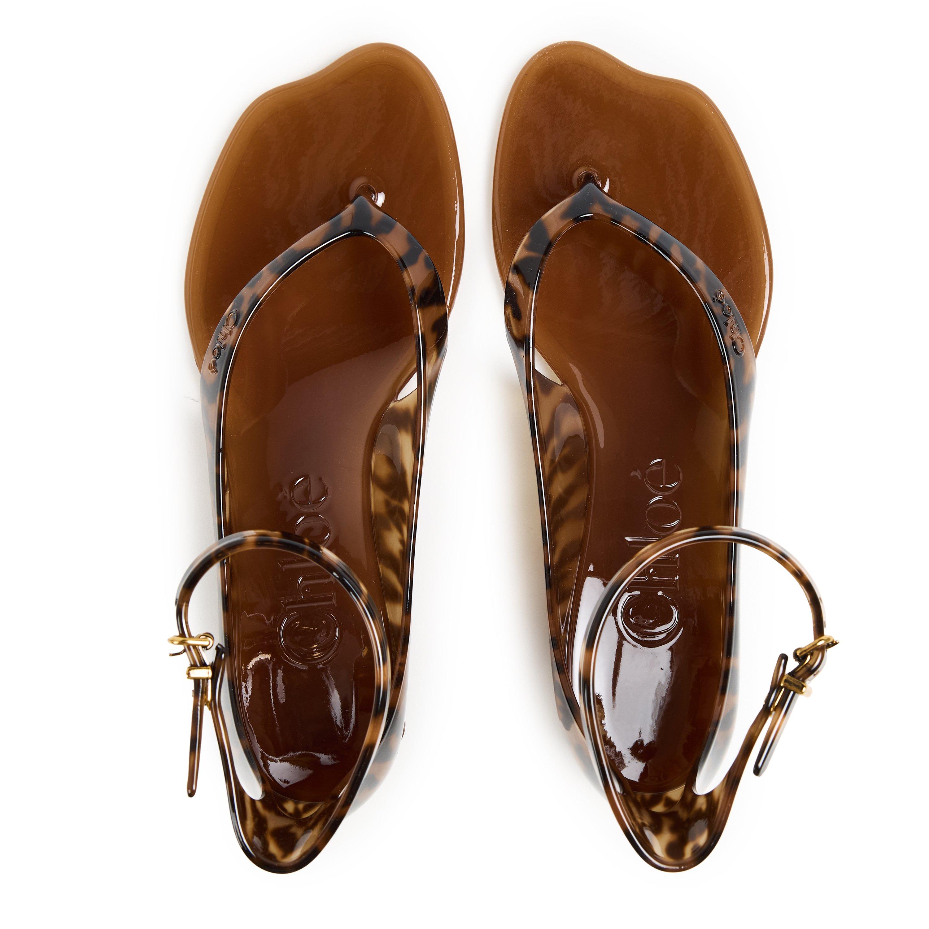 Black Brown - Chloe - Women's Flat Sandals - 4