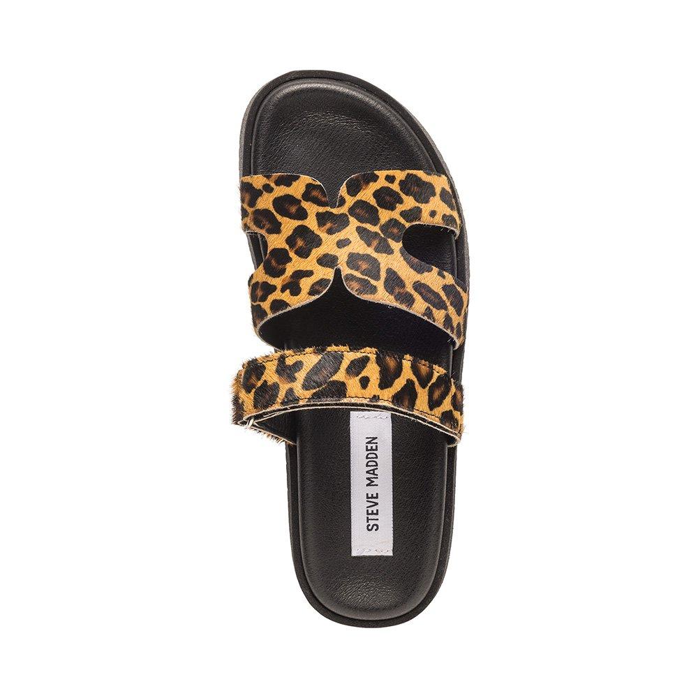Leopard - Steve Madden - Women's Zebra Print Flat Sandals - 5