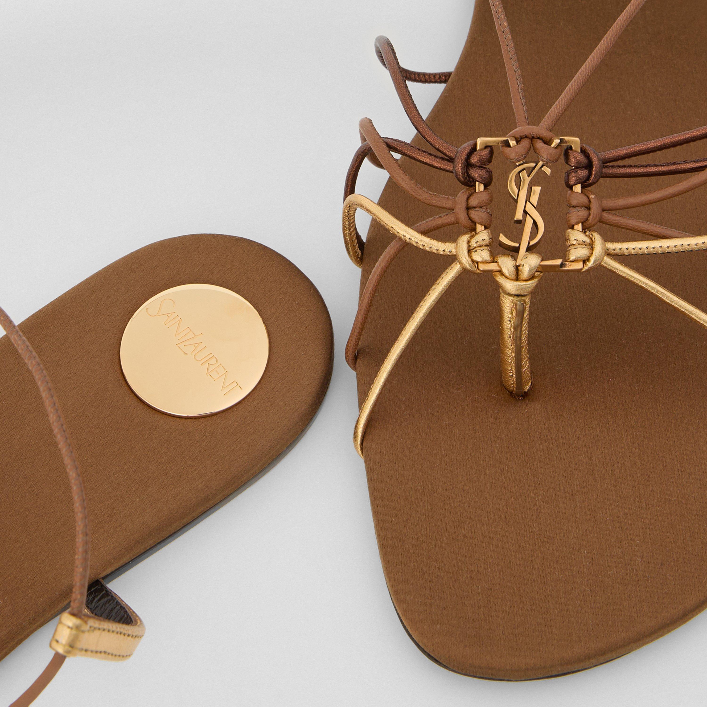 Dark Macadamia - Saint Laurent - Women's Bridget Flat Sandals - 4