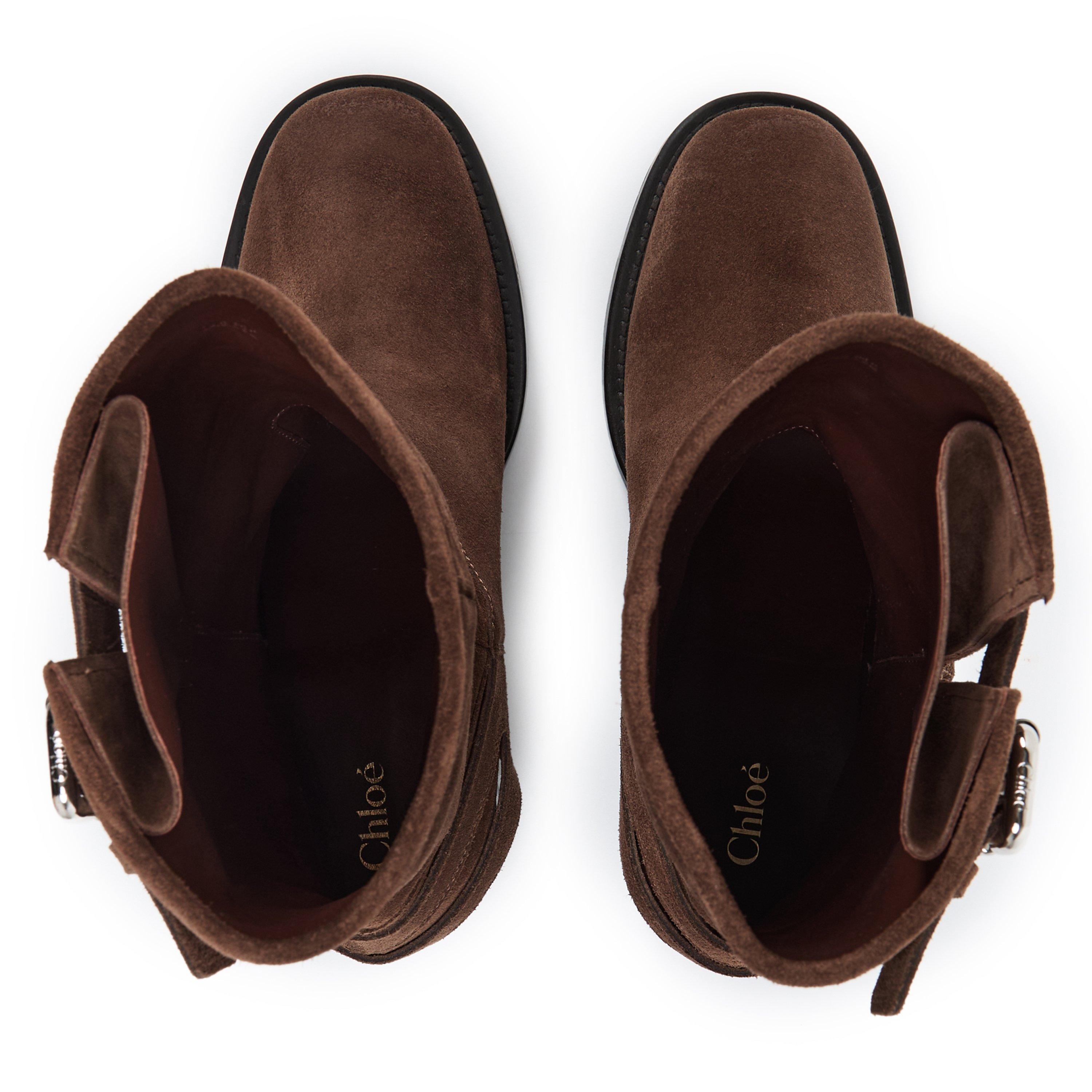 Chocolate Brown - Chloe - Chloe Dakota Ld71 - 4