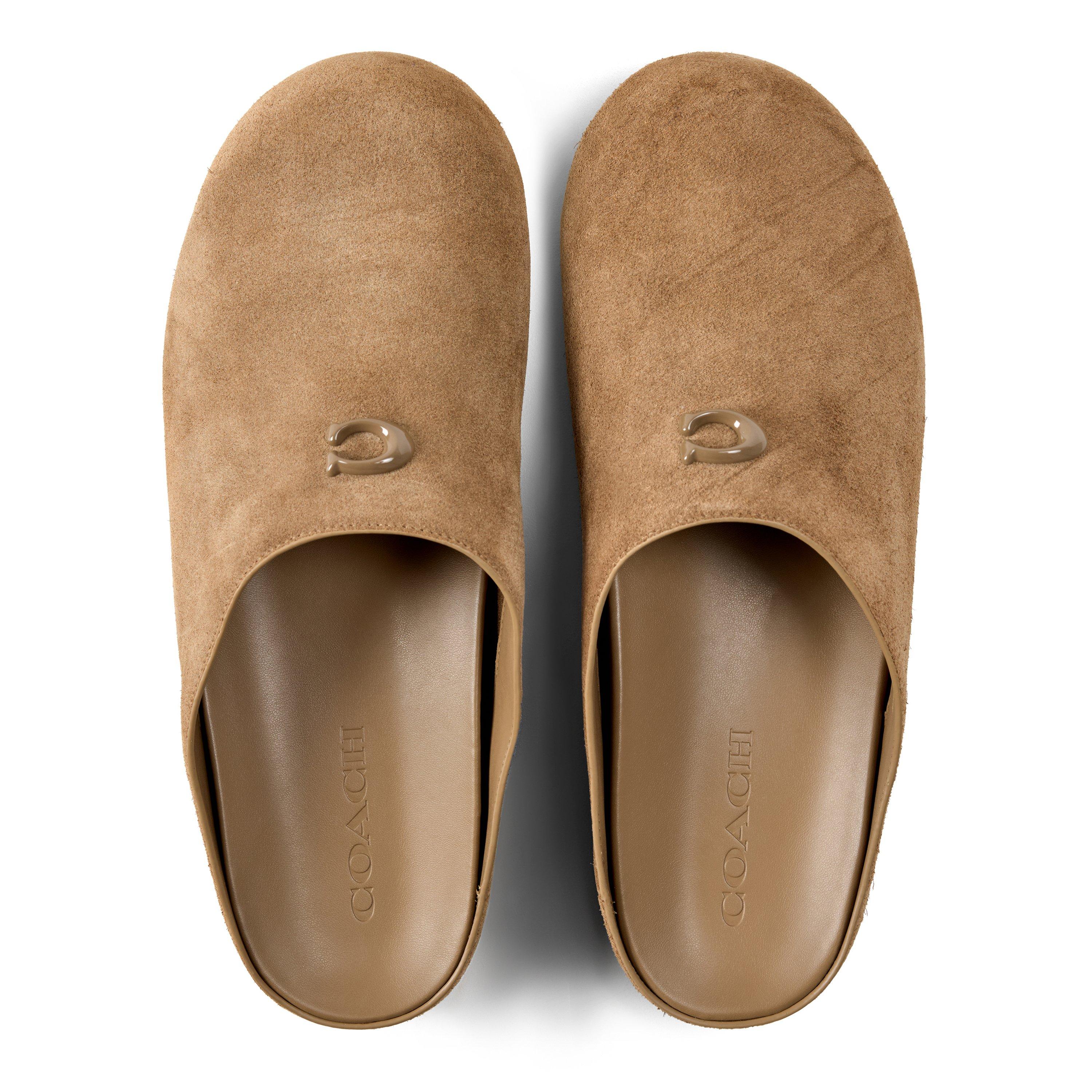 Coconut Suede - Coach - Coach Sculpted C Mul Ld64 - 4