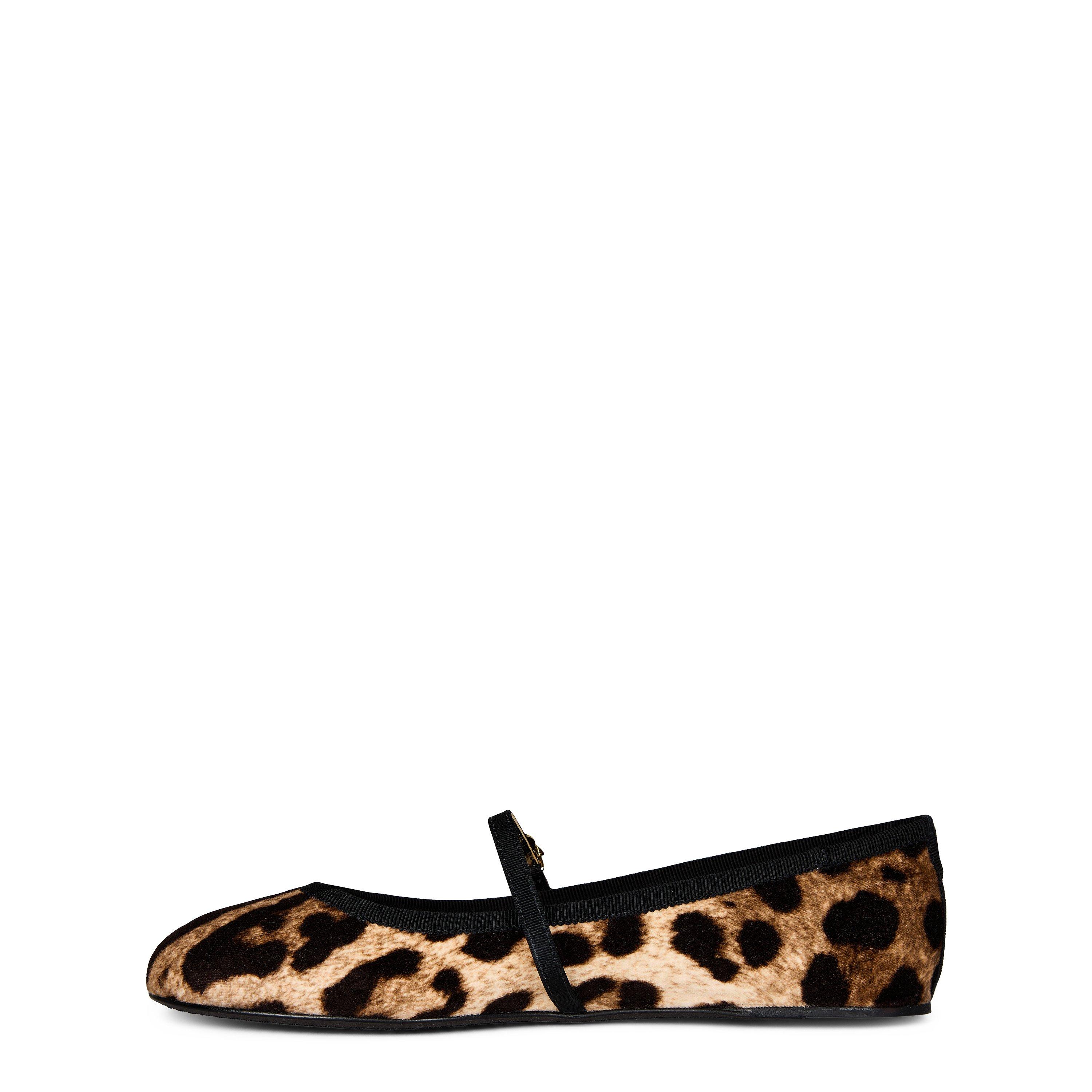 Leopard - Dolce and Gabbana - Leopard Ballet Flats - 3