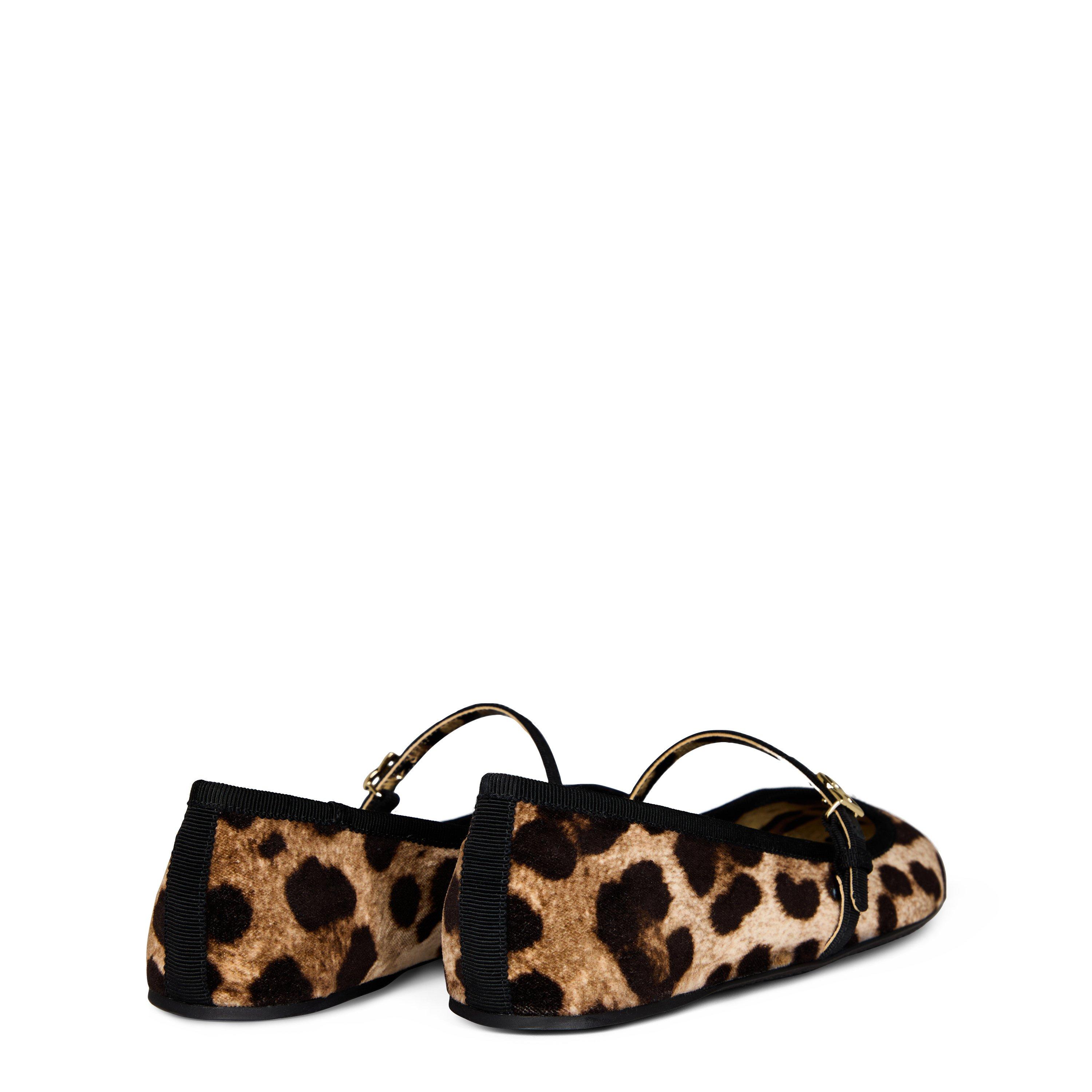 Leopard - Dolce and Gabbana - Leopard Ballet Flats - 5