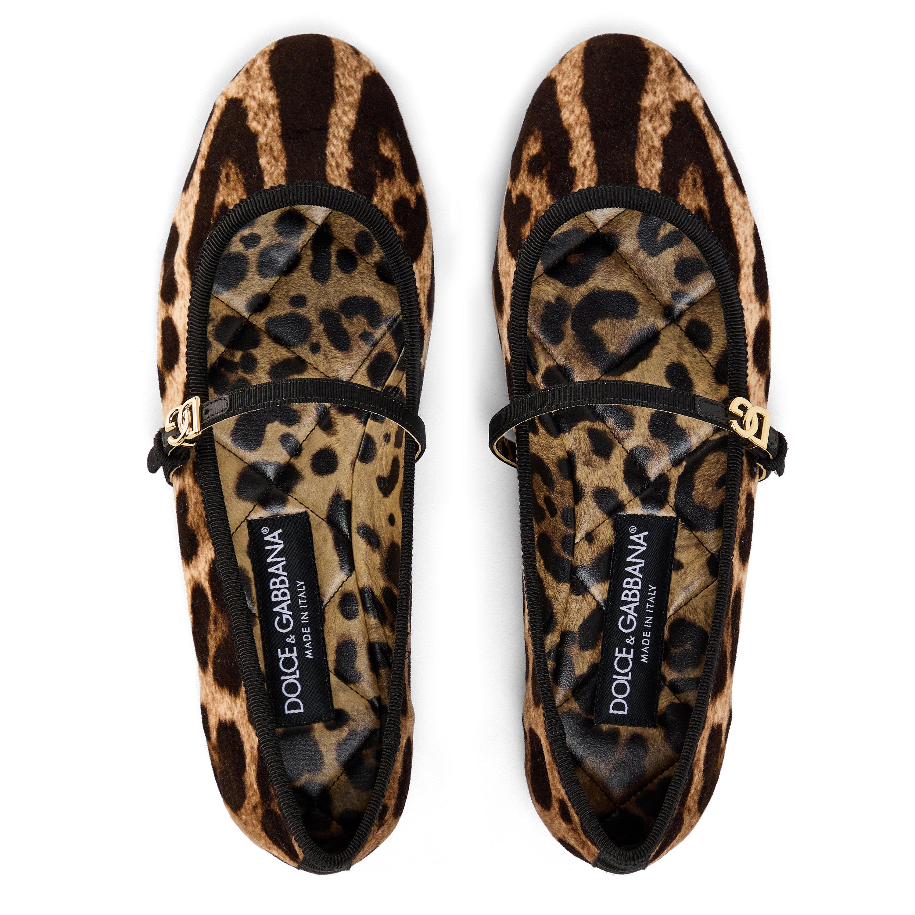 Leopard - Dolce and Gabbana - Leopard Ballet Flats - 6