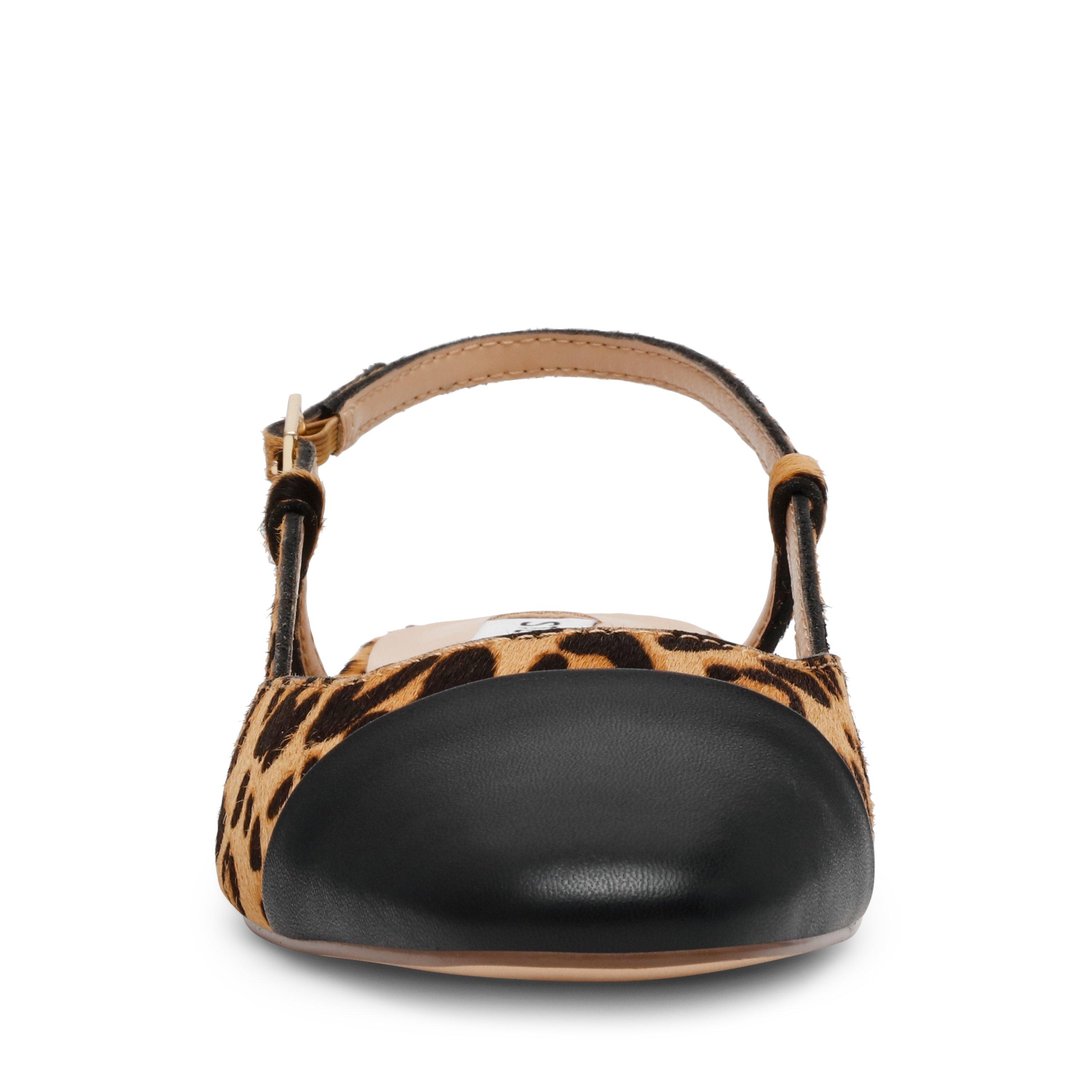 Leopard - Steve Madden - Belinda Flat Shoes - 4