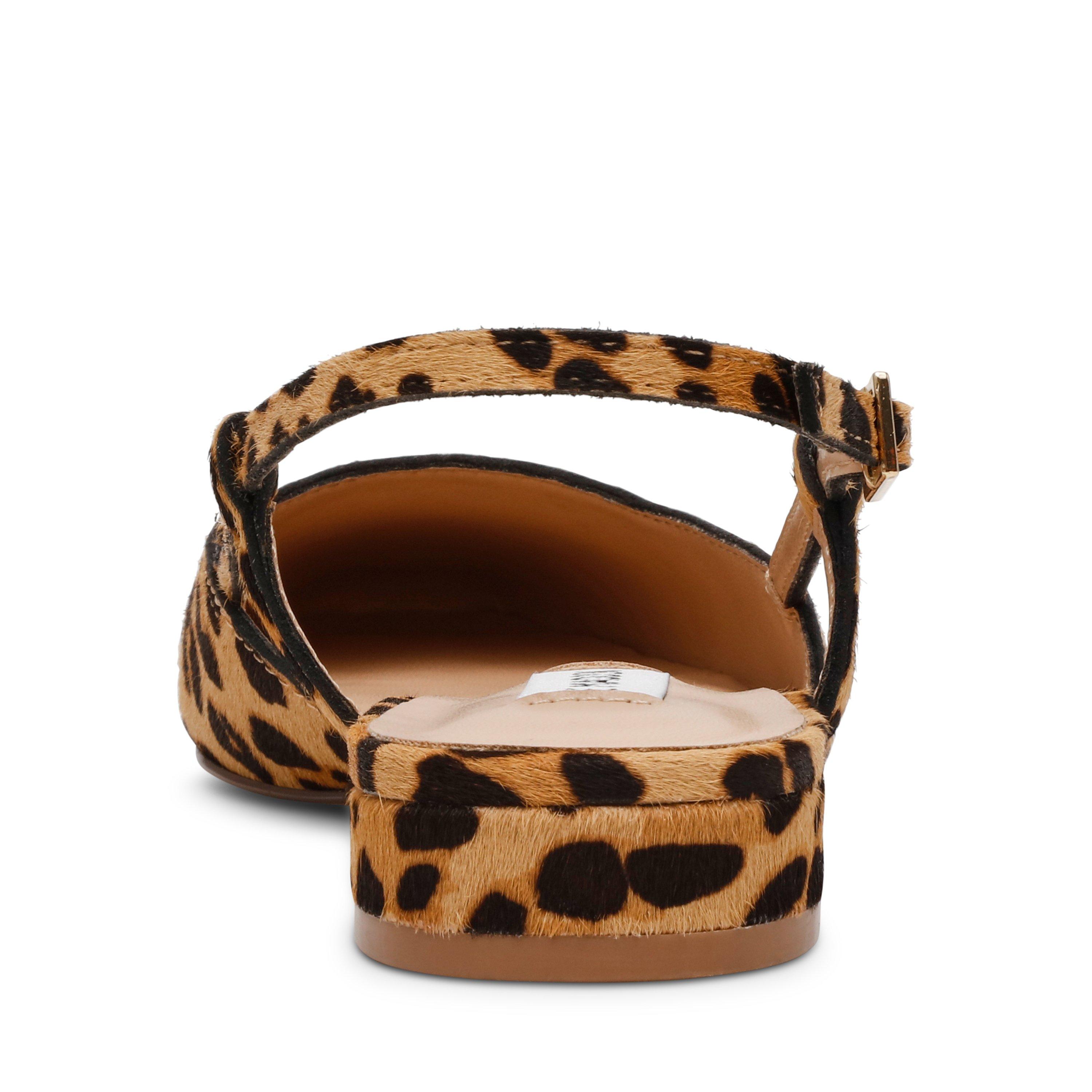 Leopard - Steve Madden - Belinda Flat Shoes - 5