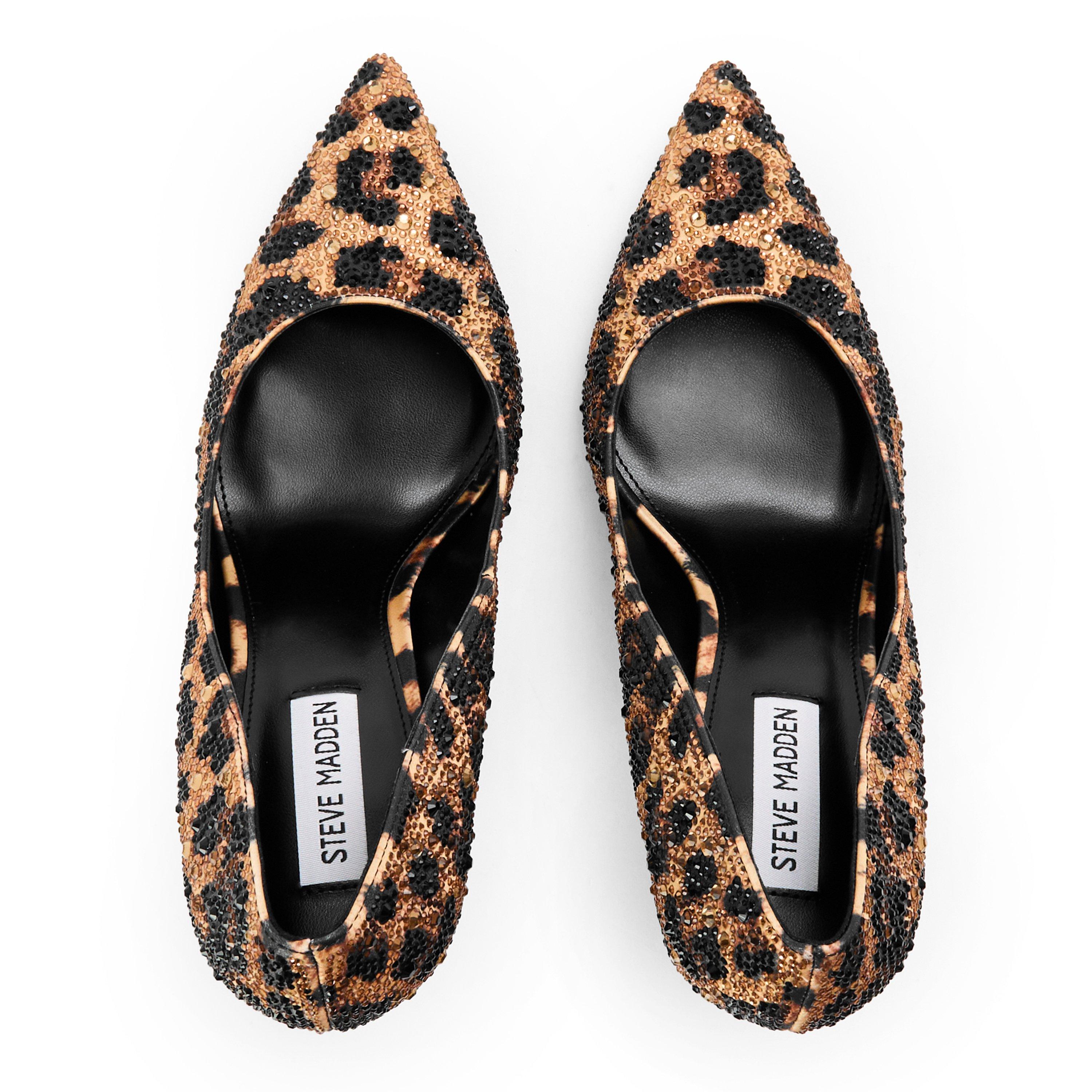 Leopardo - Steve Madden - Madden Evelyn-Rl Ld99 - 4