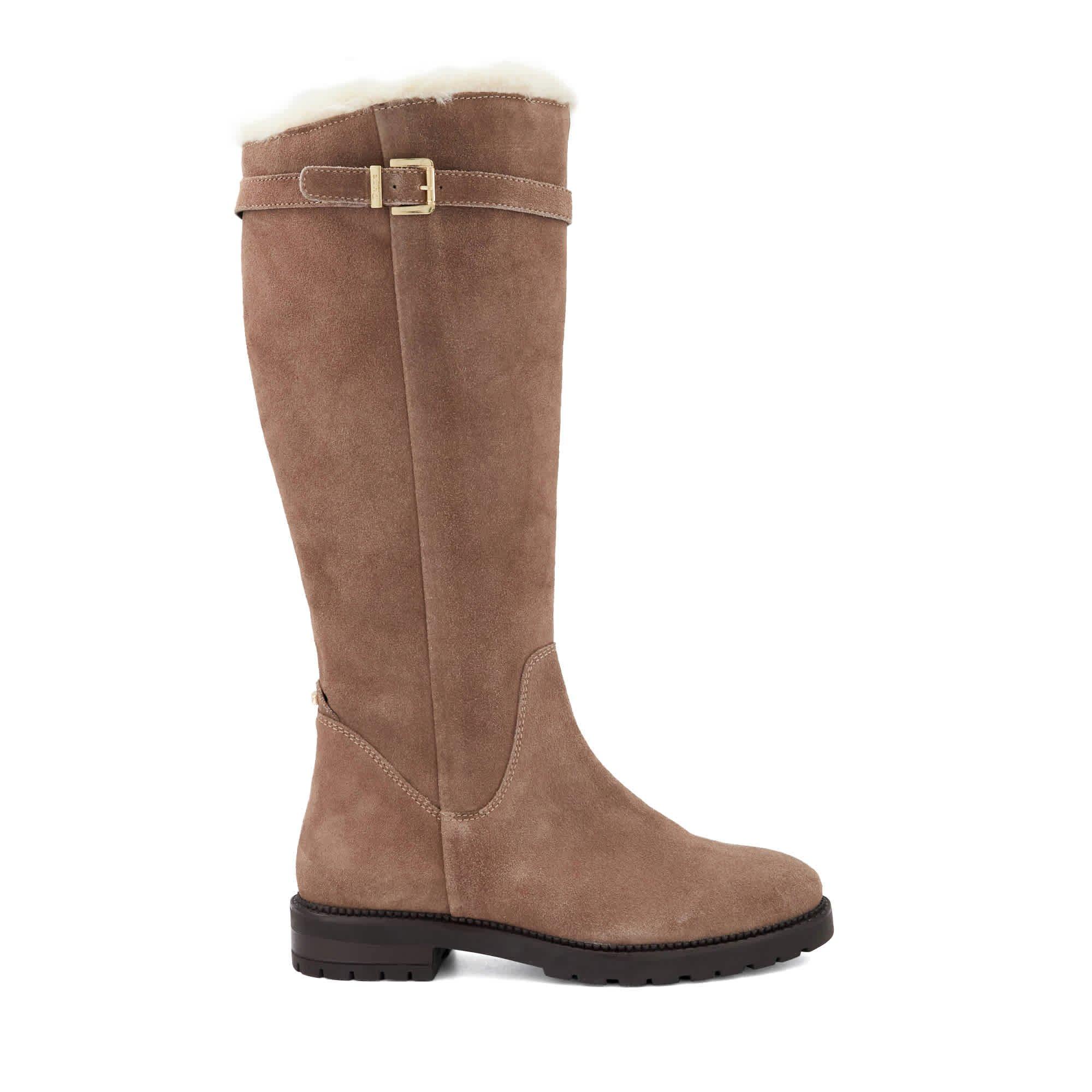 Mink Suede - Dune London - Dune Teddys Ld71 - 1