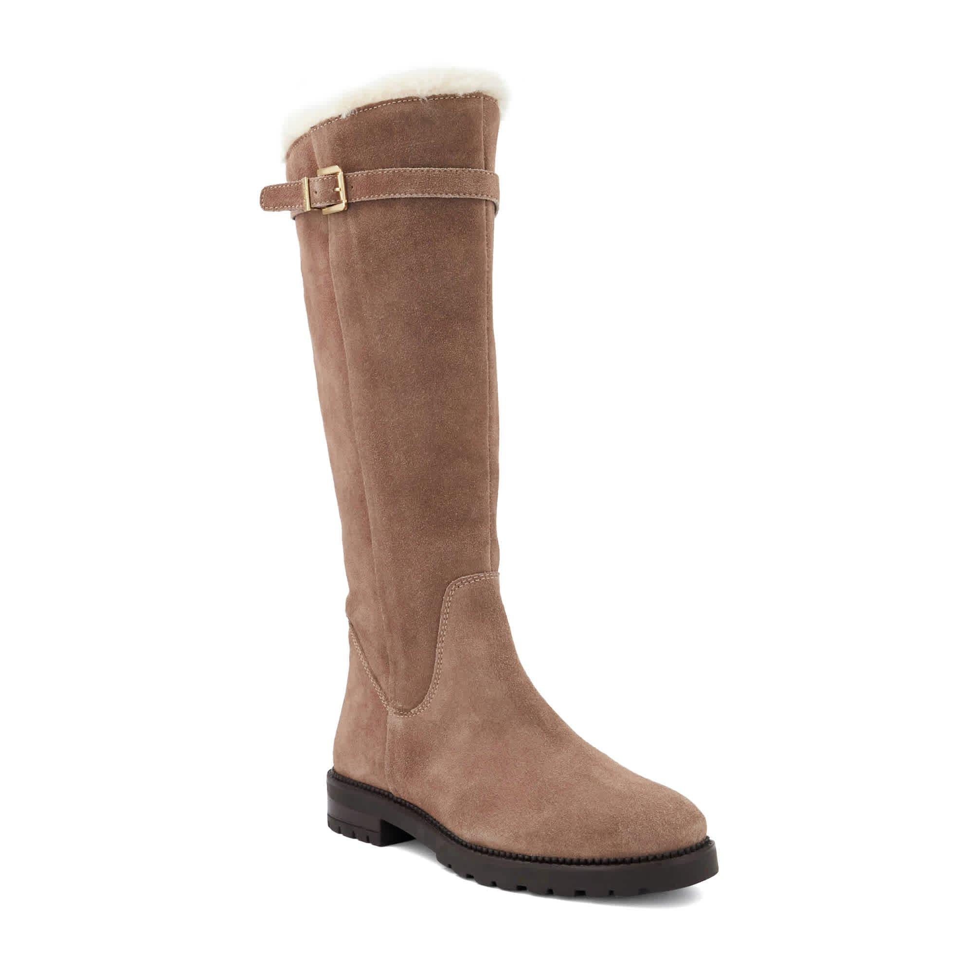Mink Suede - Dune London - Dune Teddys Ld71 - 2