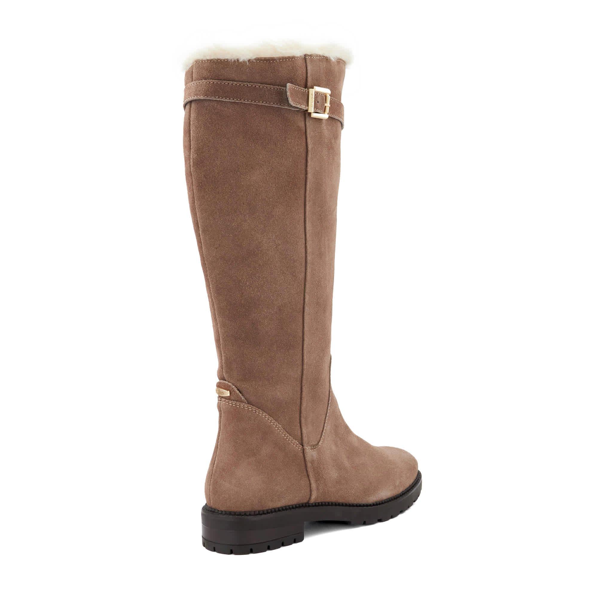 Mink Suede - Dune London - Dune Teddys Ld71 - 3