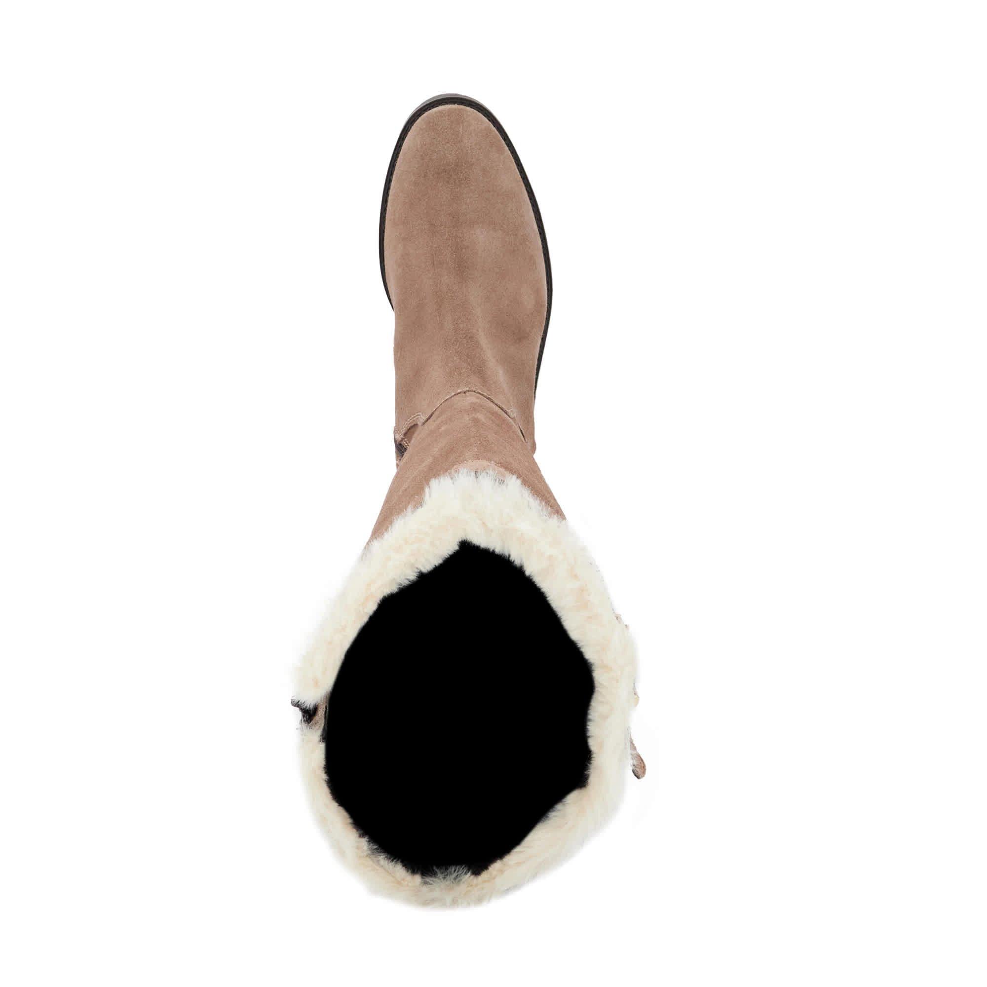 Mink Suede - Dune London - Dune Teddys Ld71 - 4