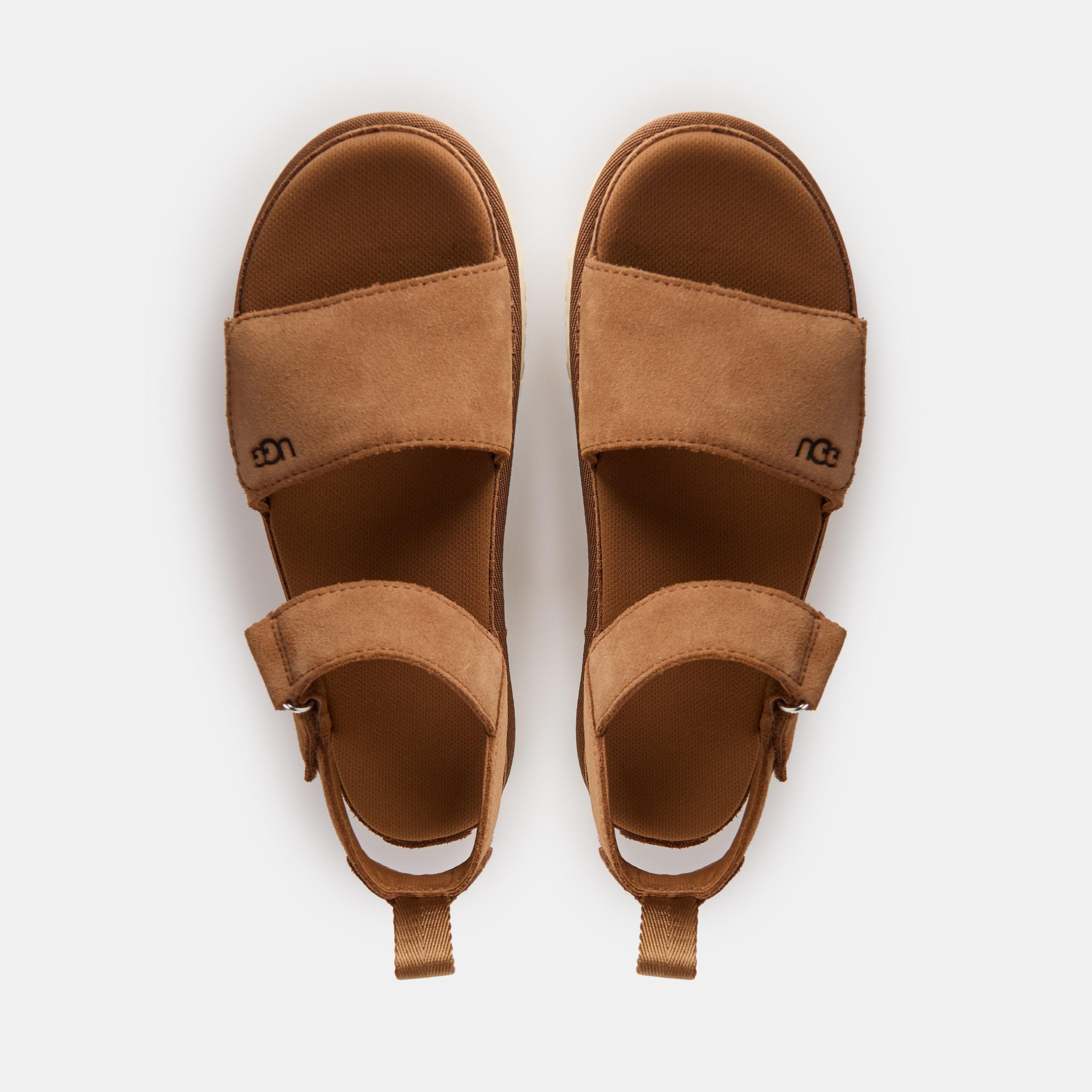 Chesnut - Ugg - Goldenstar Sandal - 4