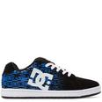 DC All Skate Shoes