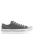 Canvas Low Mens Trainers