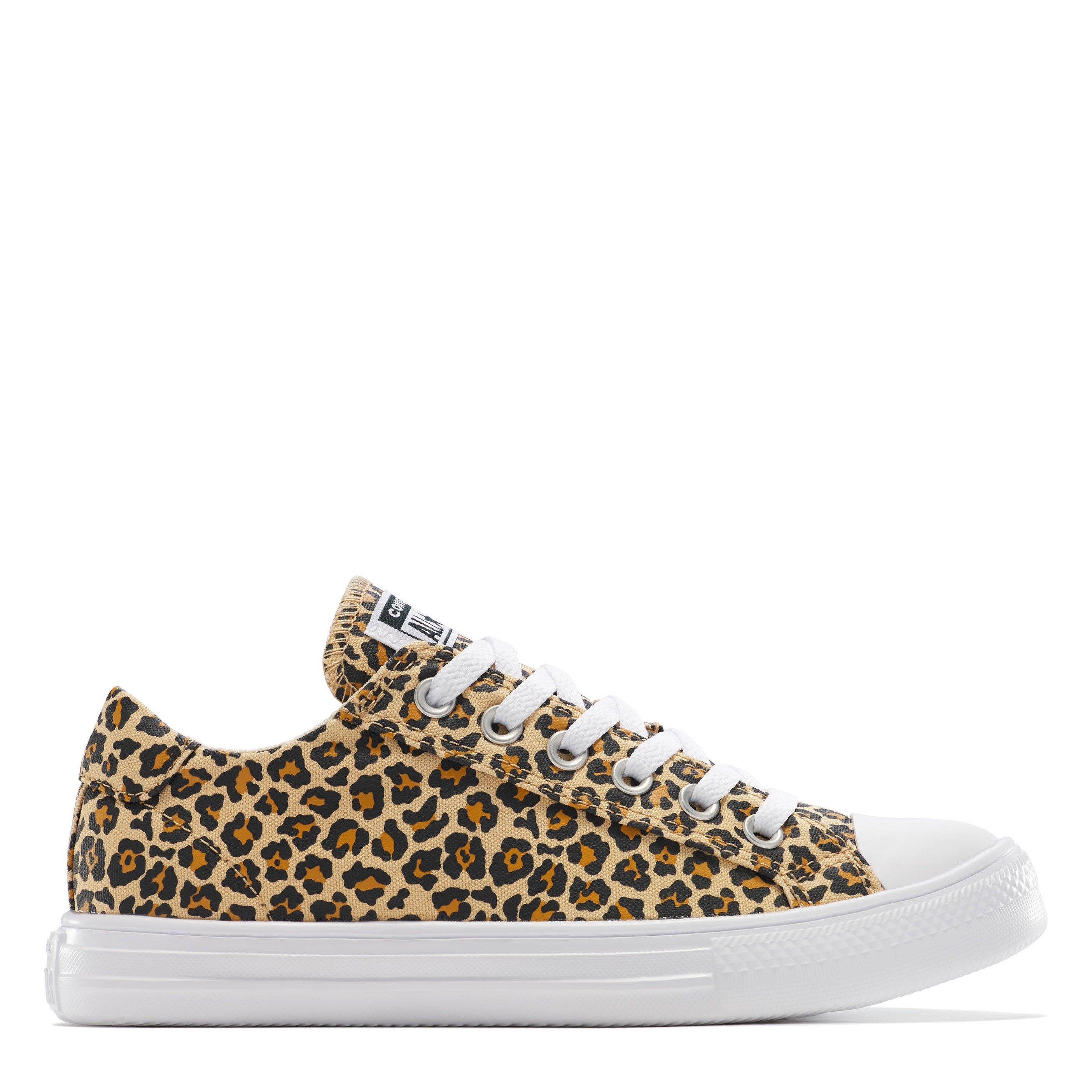 Converse Women's Canvas Trainers