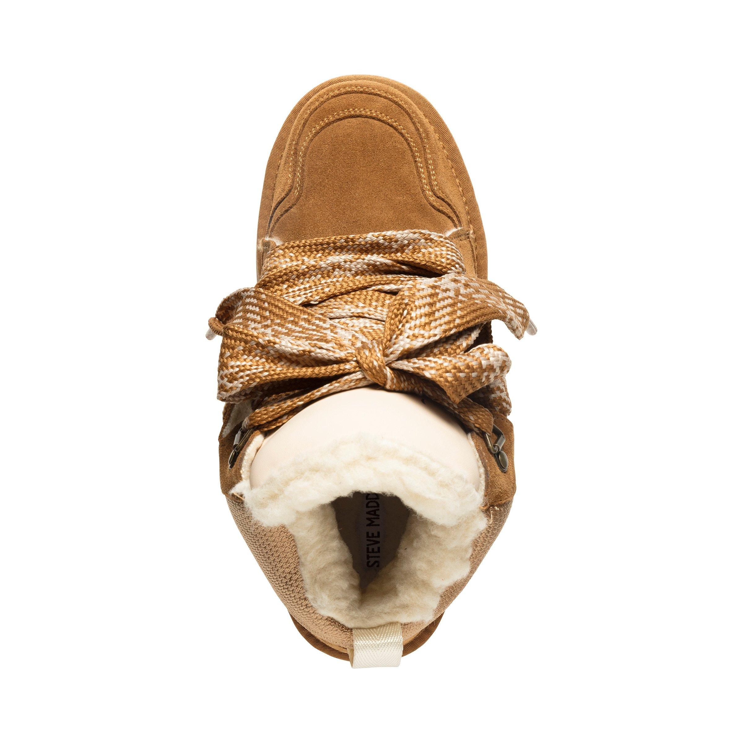 Kastanjebruin Suède - Steve Madden - Madden Paci Trainer Ld99 - 5