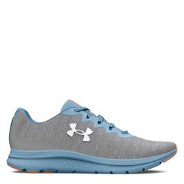 Under Armour The founders of Swiss sneaker retailer