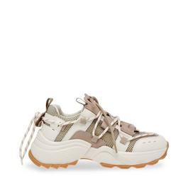 Steve Madden Tazmania Trainers