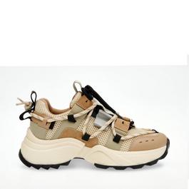 Steve Madden Tazmania Trainers