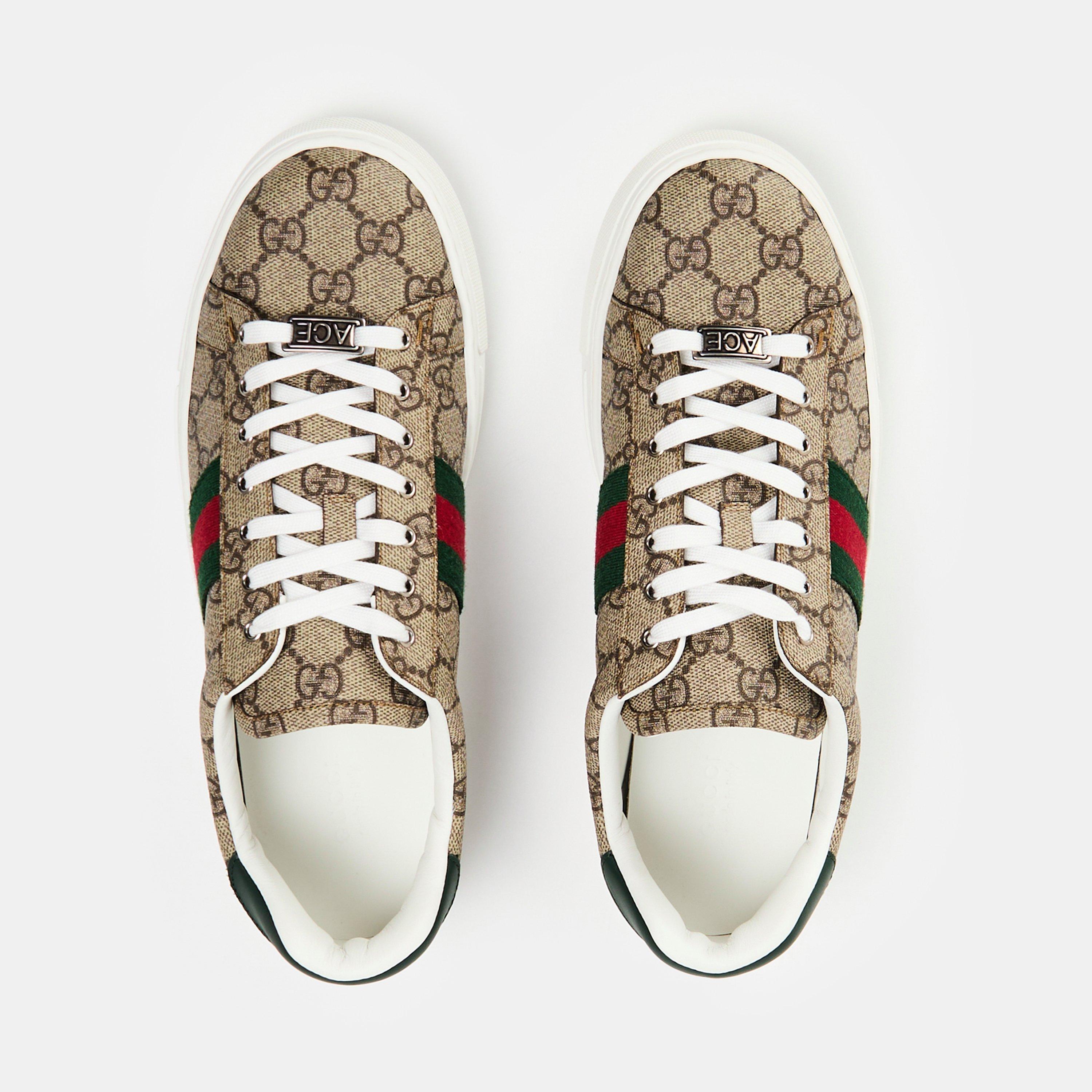 Beige Ebony - Gucci - Women's Ace Web Canvas Trainers - 6