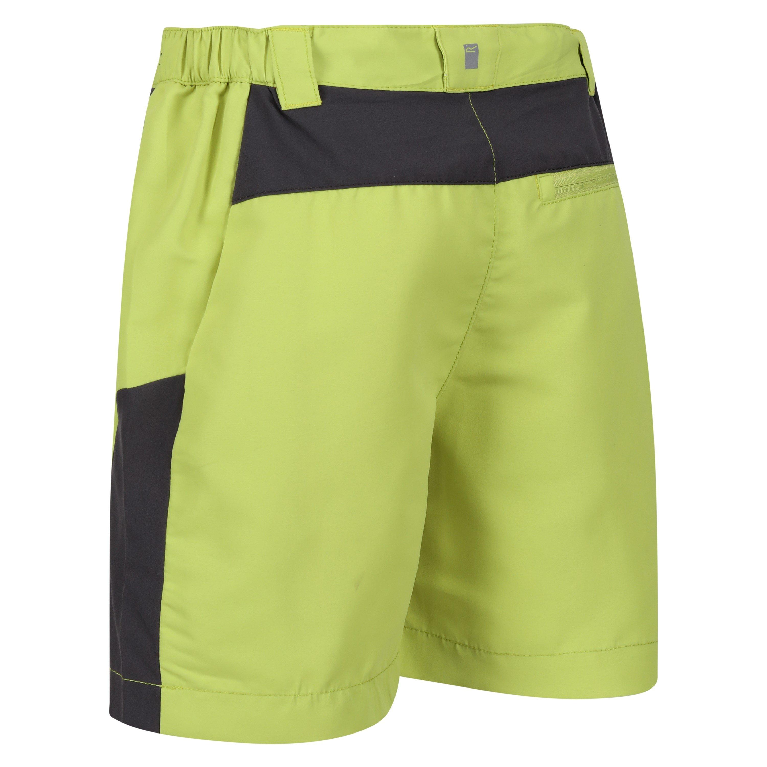 GrnAlg/SlGry - Regatta - Walking Shorts - 2