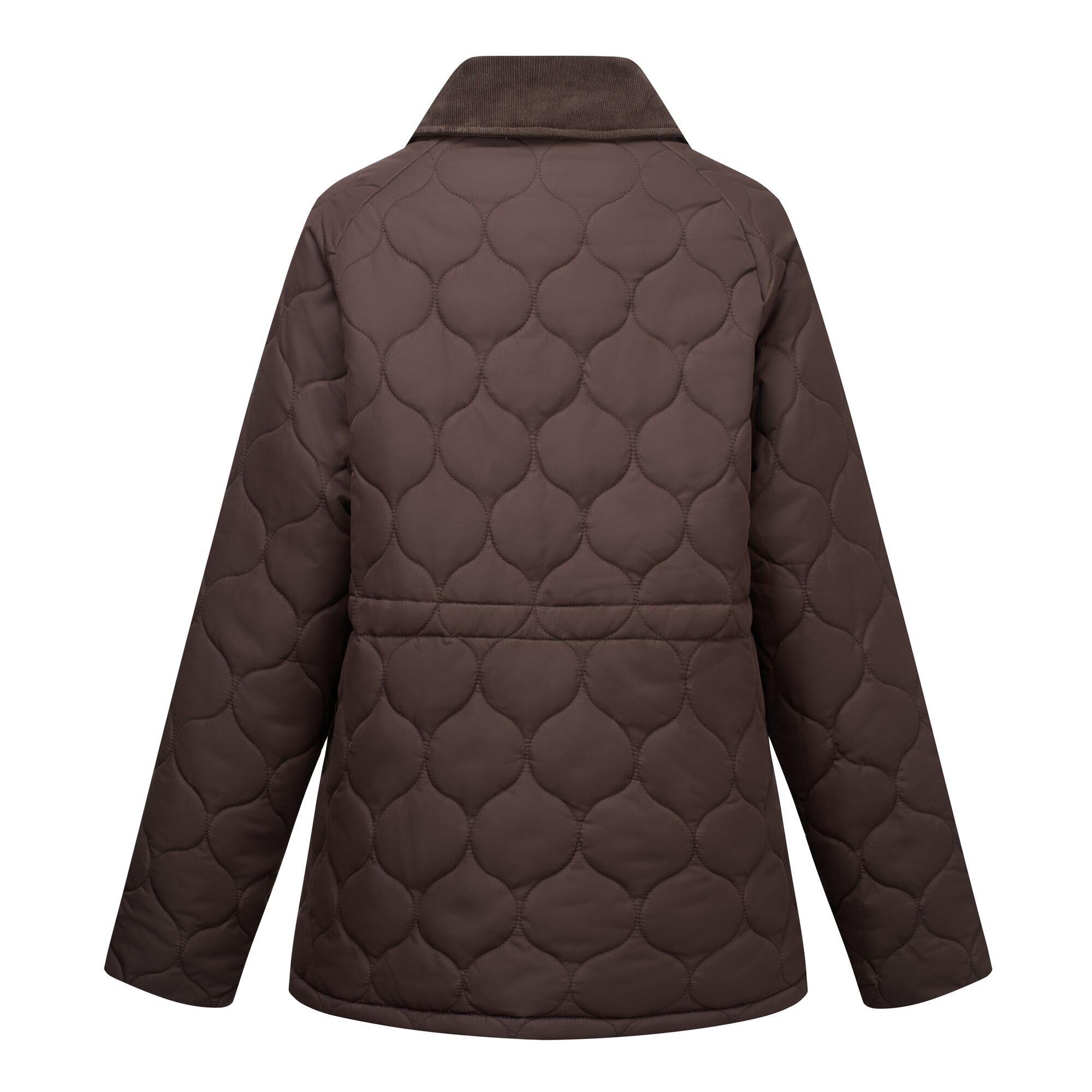 Dark Chocolate - Regatta - Womens Amira Insulated Jacket - 12
