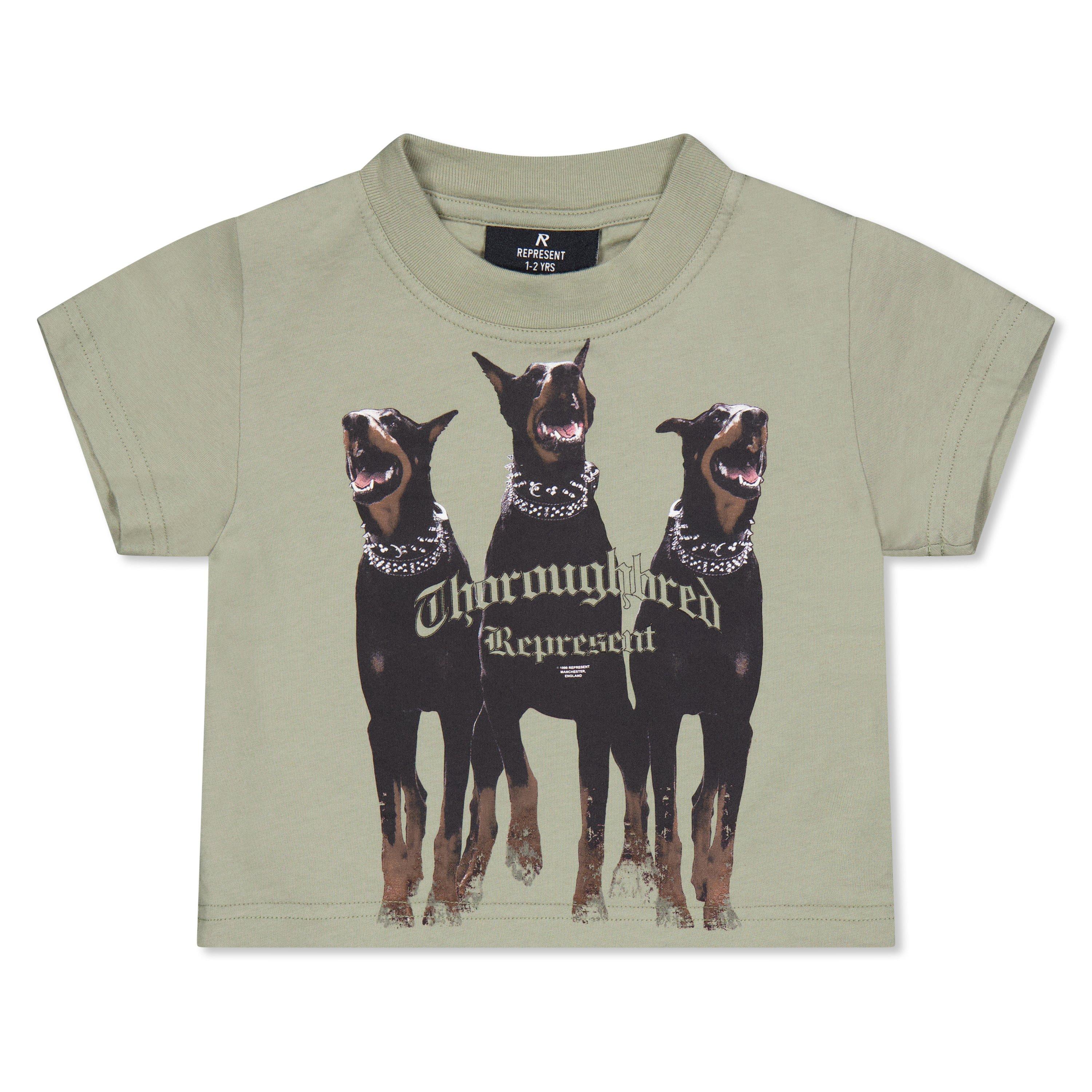 Represent  Thoroughbred T-Shirt, Distinctive Graphic - Khaki - Size 2-3Y