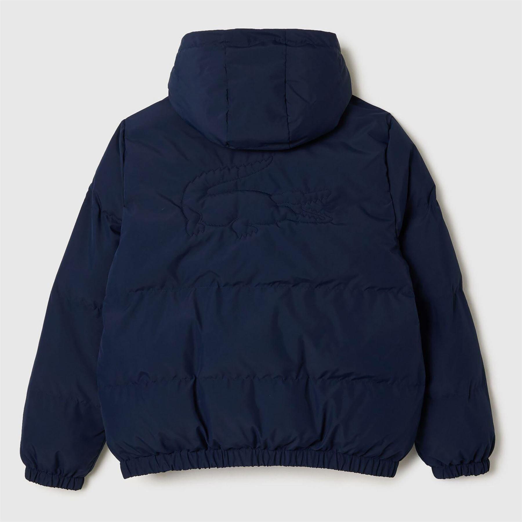 Navy - Lacoste - Padded Jacket - 2