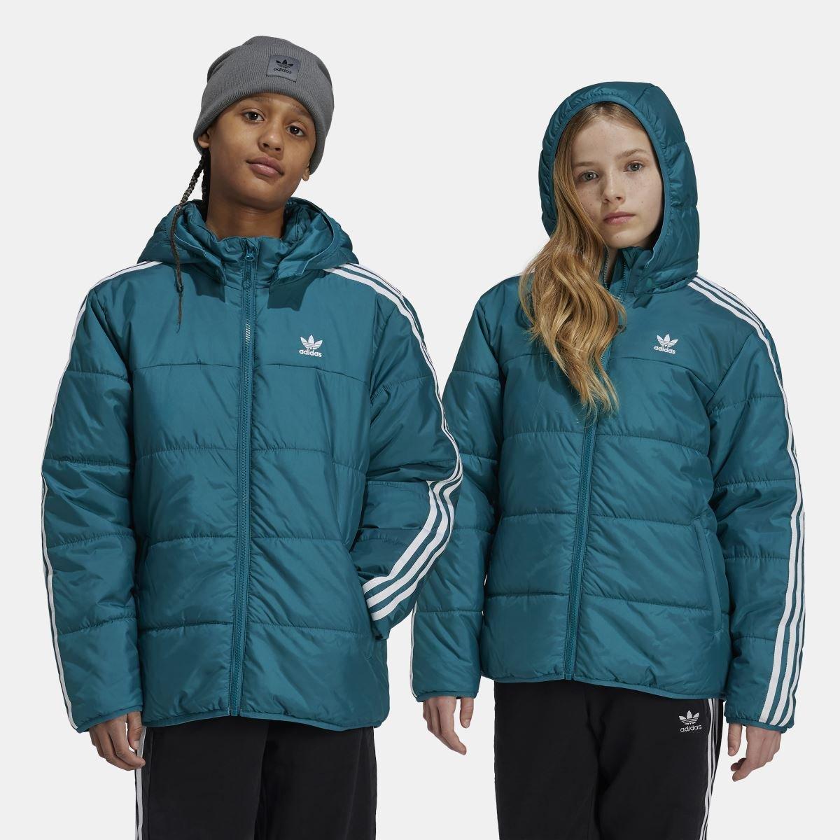 Teal - adidas Originals - Adicolor Padded Jacket - 6