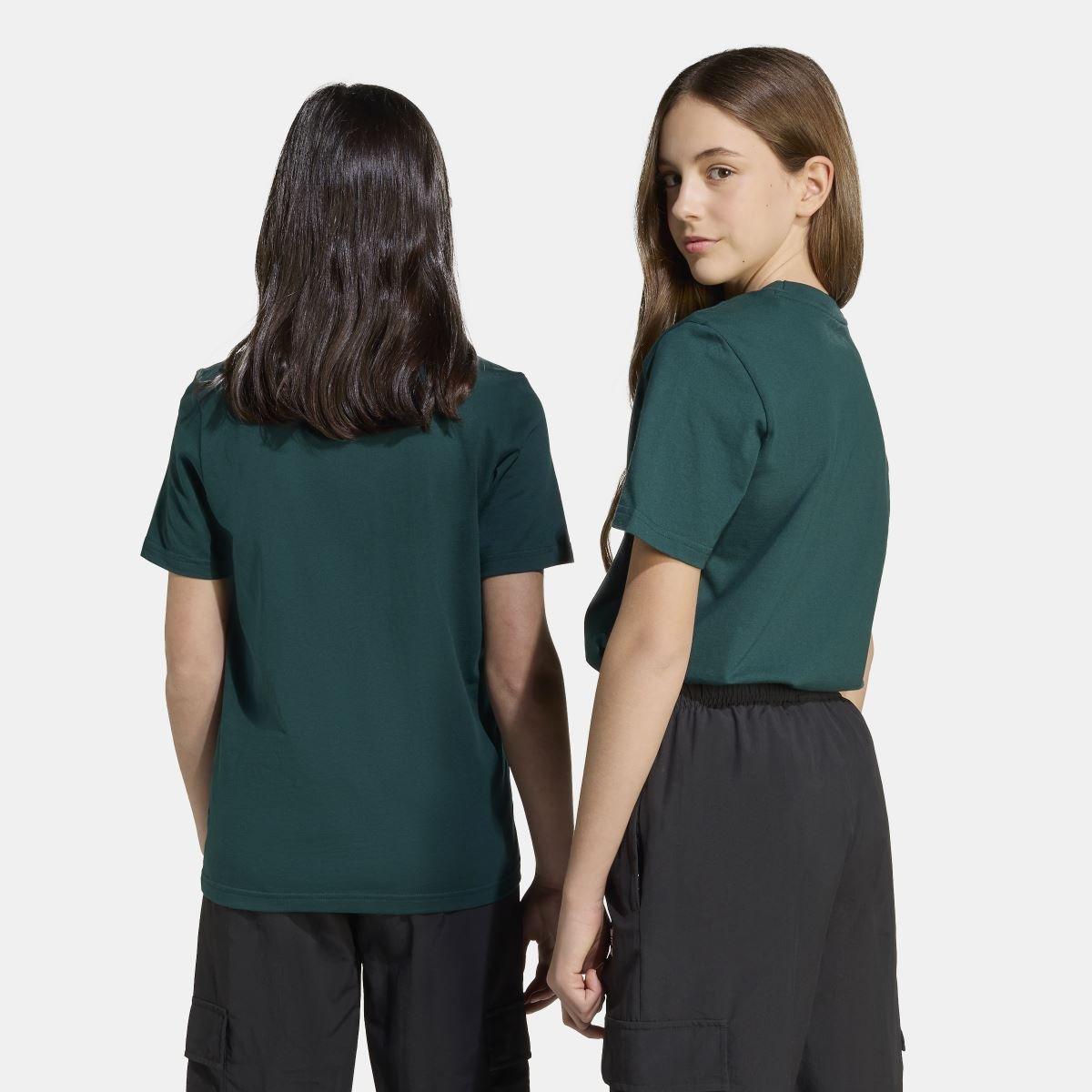 Green - adidas Originals - T-Shirt - 6