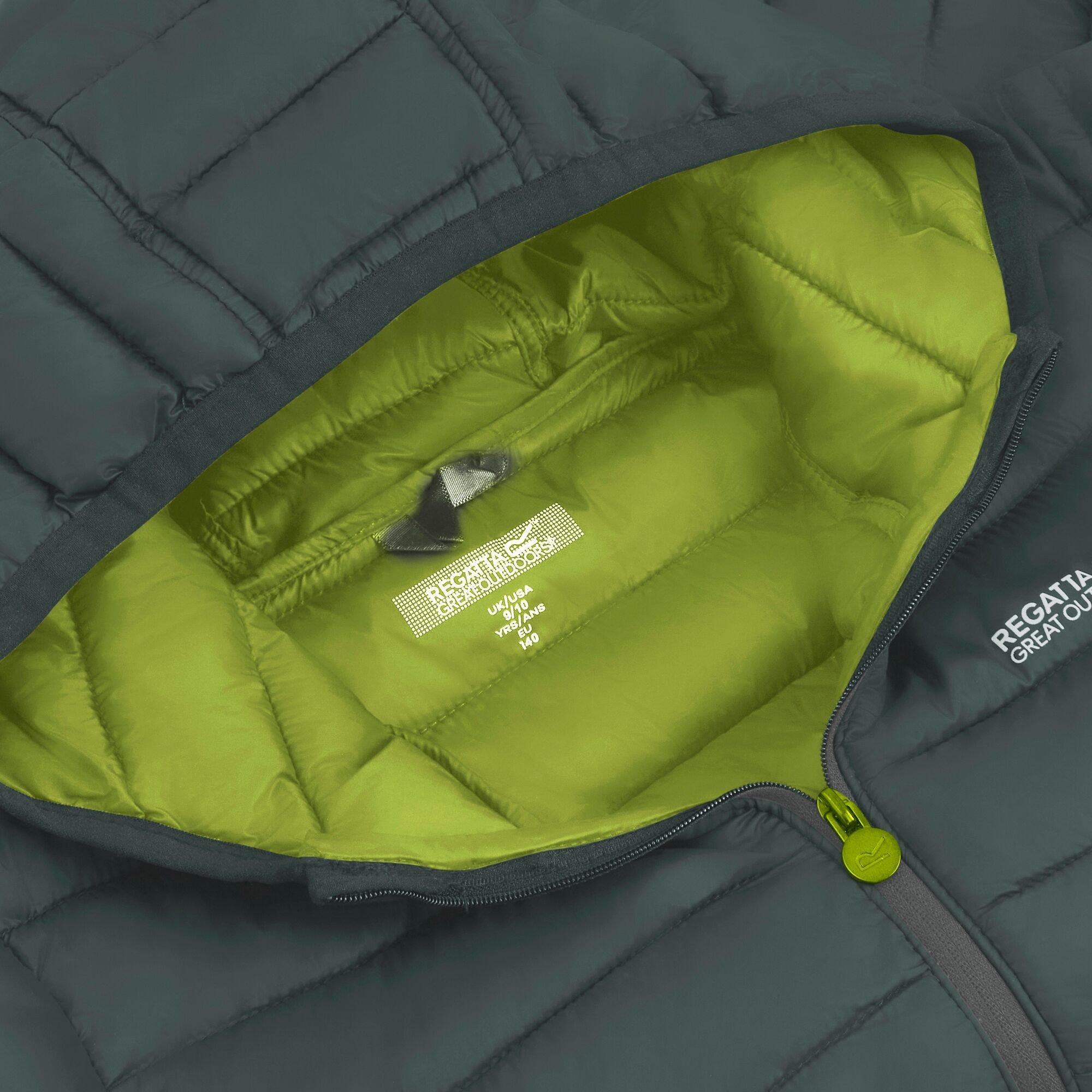 Dark Forest Gre - Regatta - Kids Marizion Hooded Insulated Jacket - 14