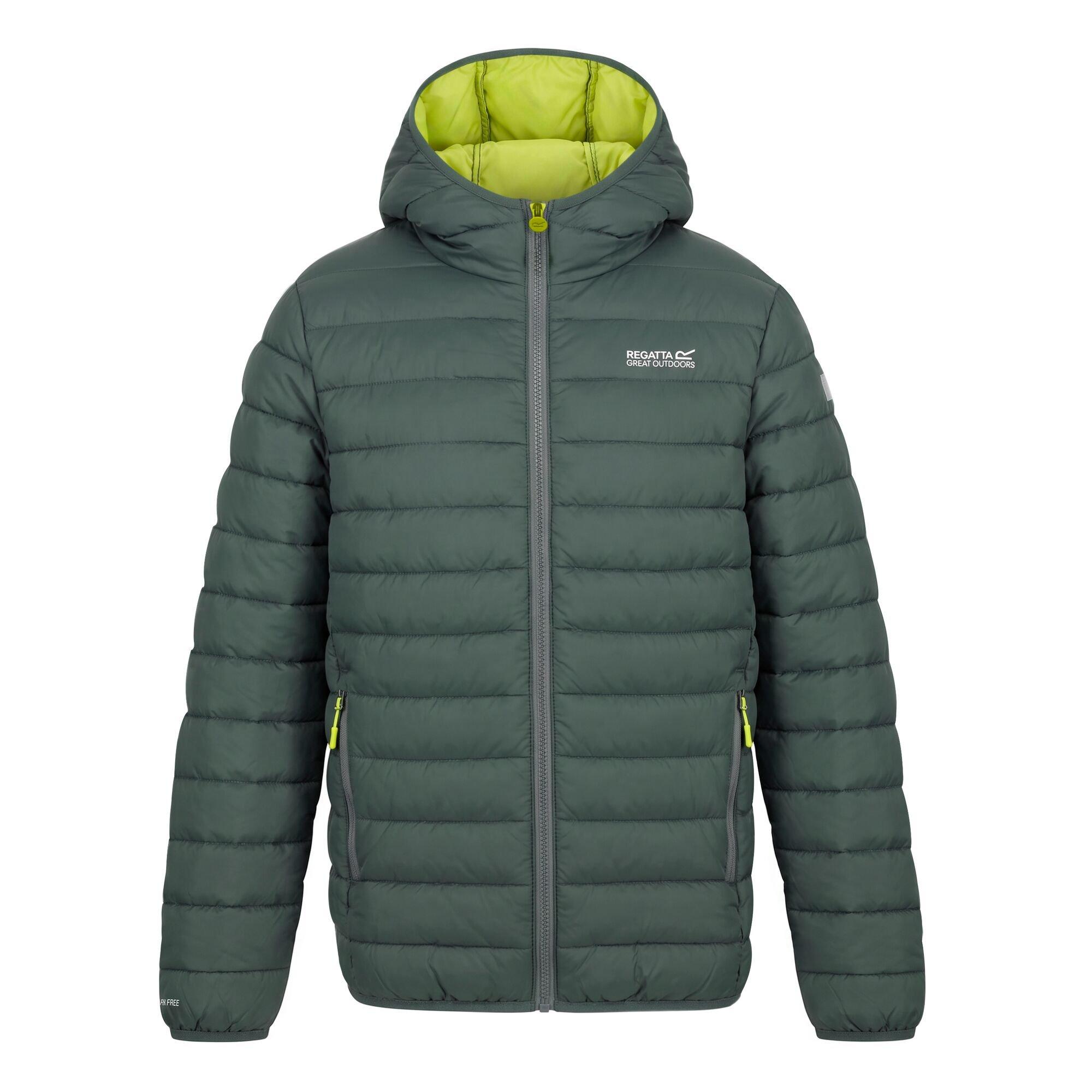 Dark Forest Gre - Regatta - Kids Marizion Hooded Insulated Jacket - 10