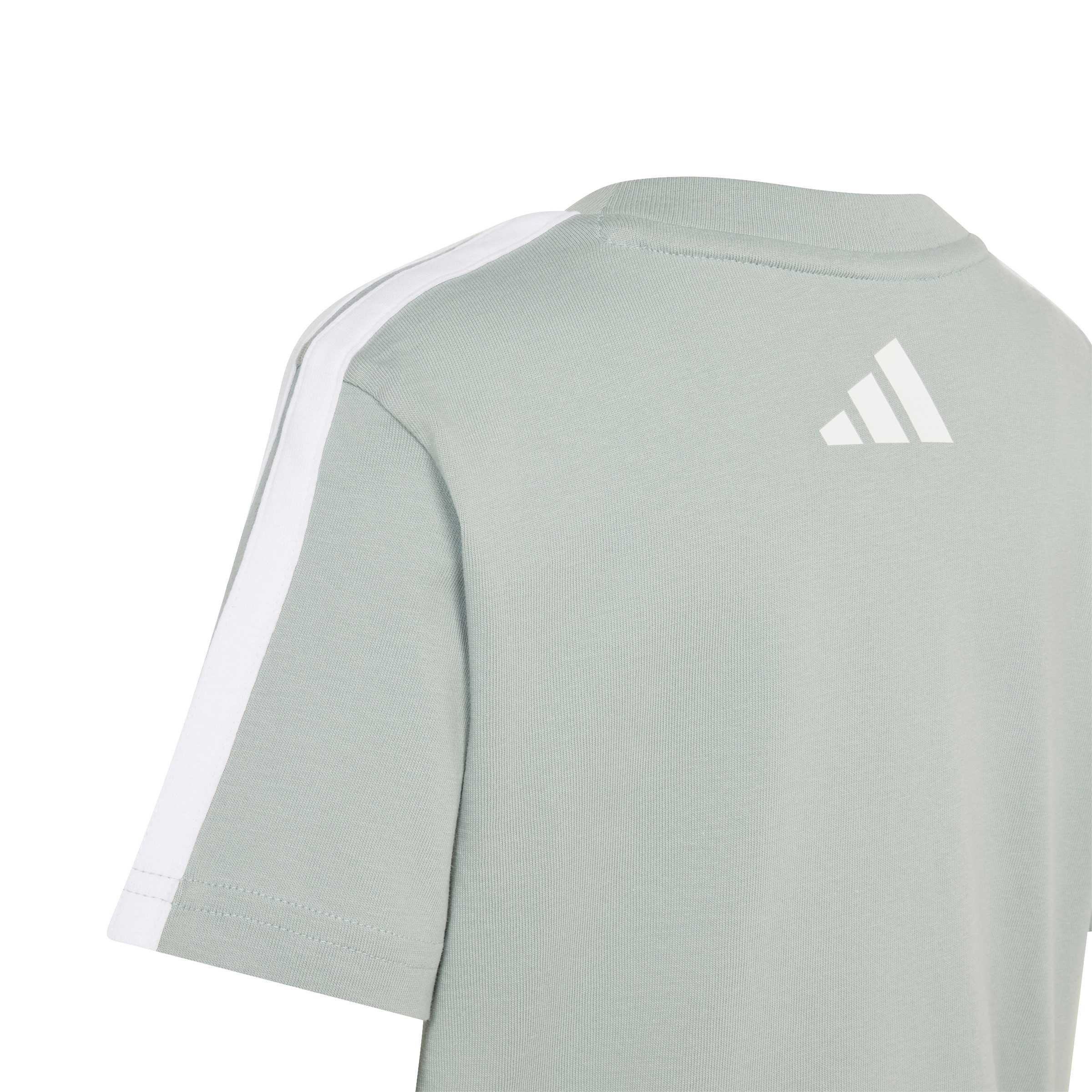Groen - adidas - Adidas Lk Colleg Set Ch99 - 7