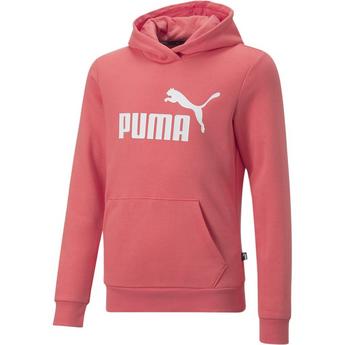 Puma ESS Logo Hoodie FL G