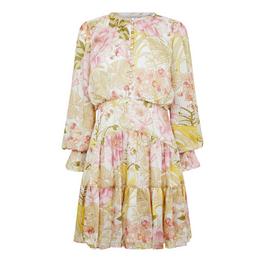 Ted Baker Abbiya Dress