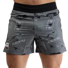 Under Armour Run Like A... Shorts