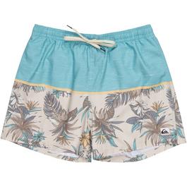 Quiksilver Reef Shorts