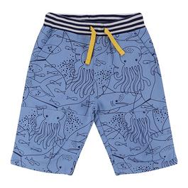 Lilly and Sid Board Shorts