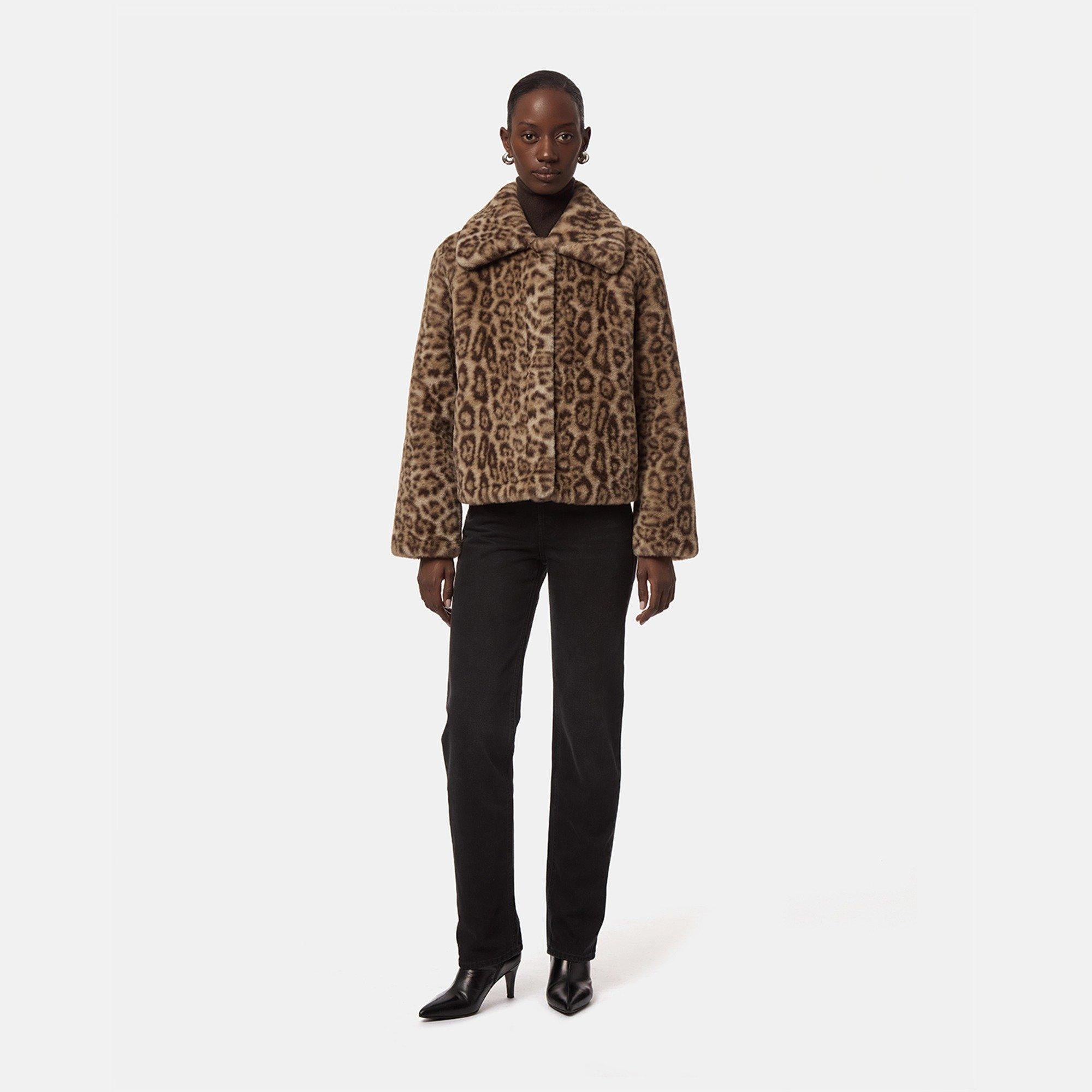 Light Leopard - Apparis - Apparis Elis Coat Ld71 - 2