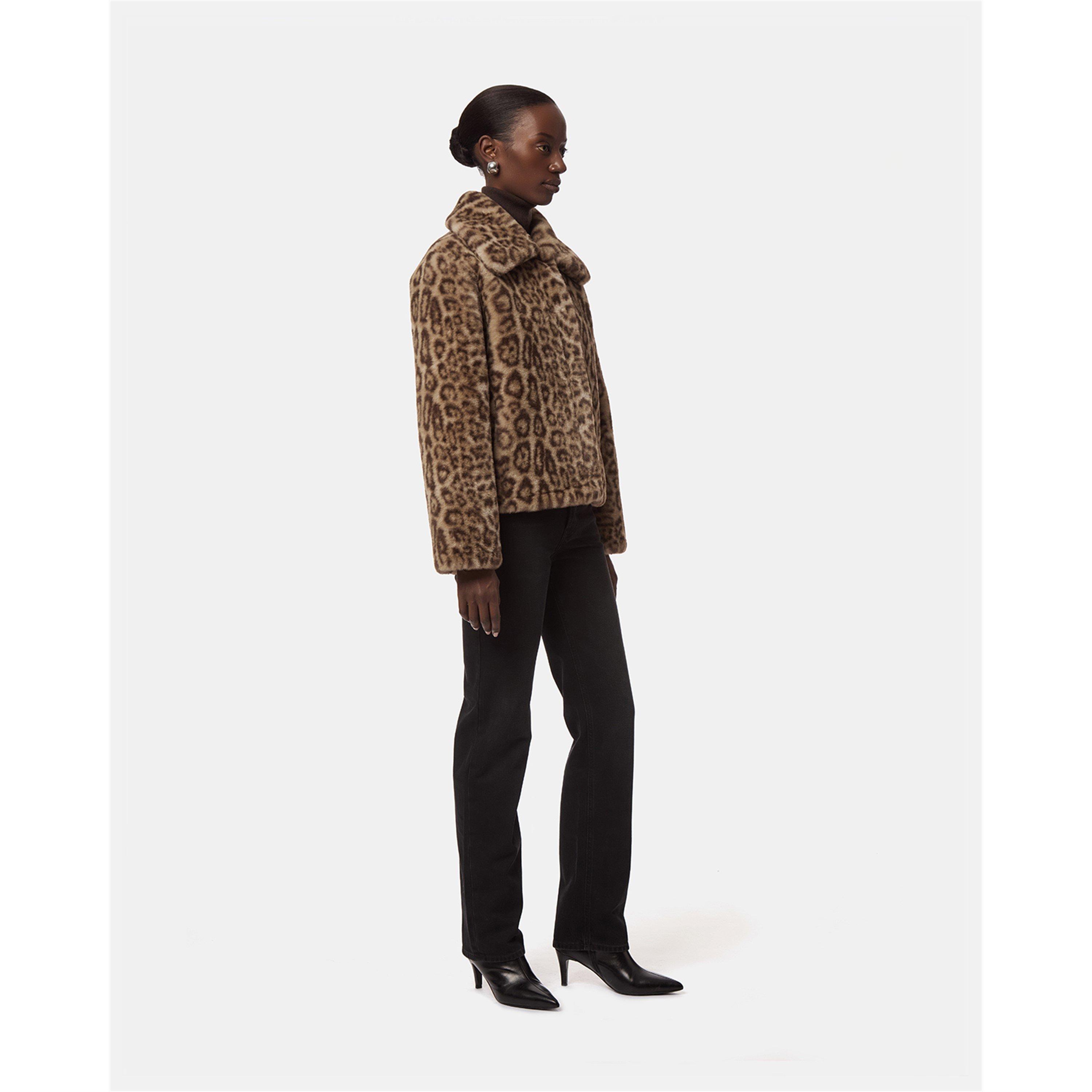 Light Leopard - Apparis - Apparis Elis Coat Ld71 - 3