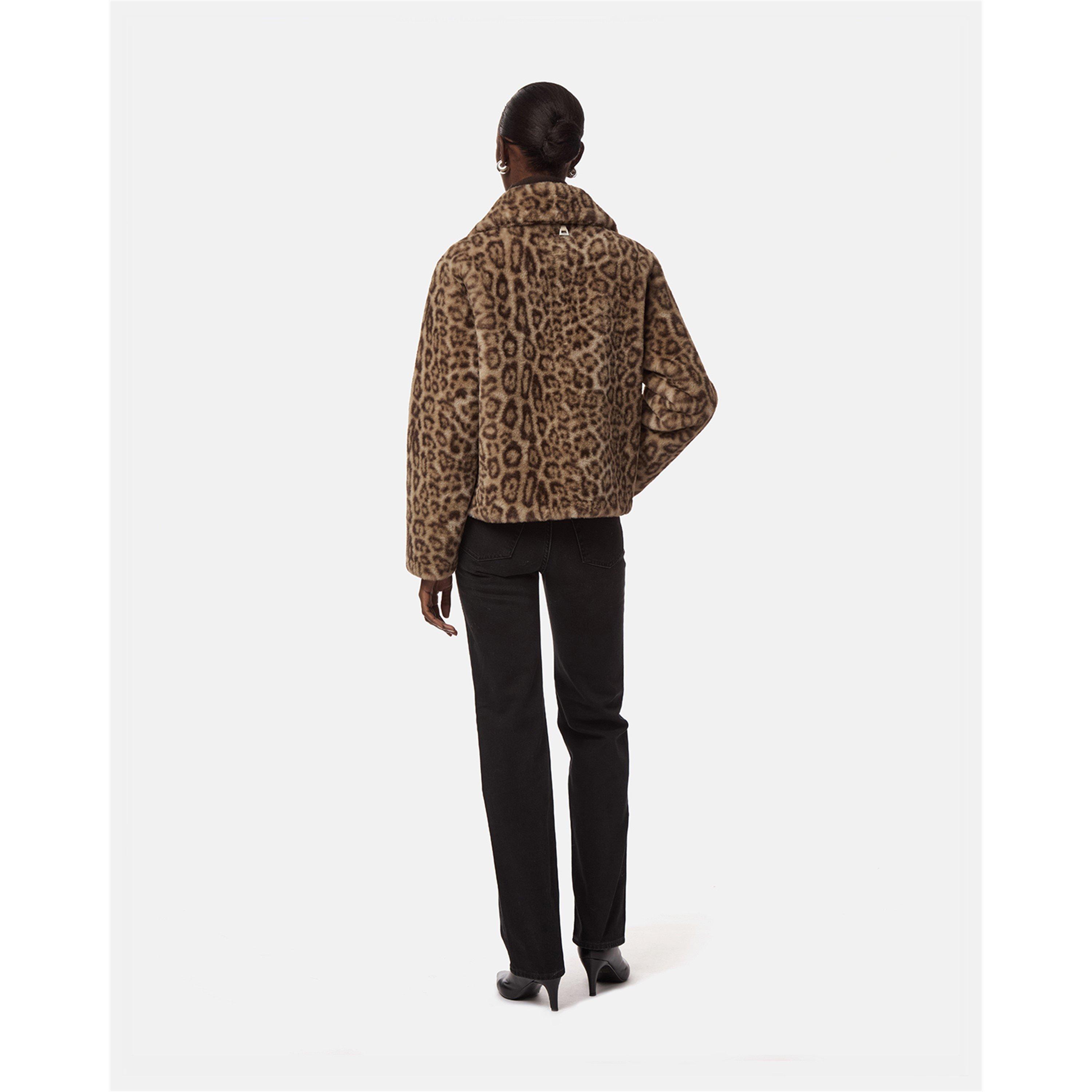 Light Leopard - Apparis - Apparis Elis Coat Ld71 - 4