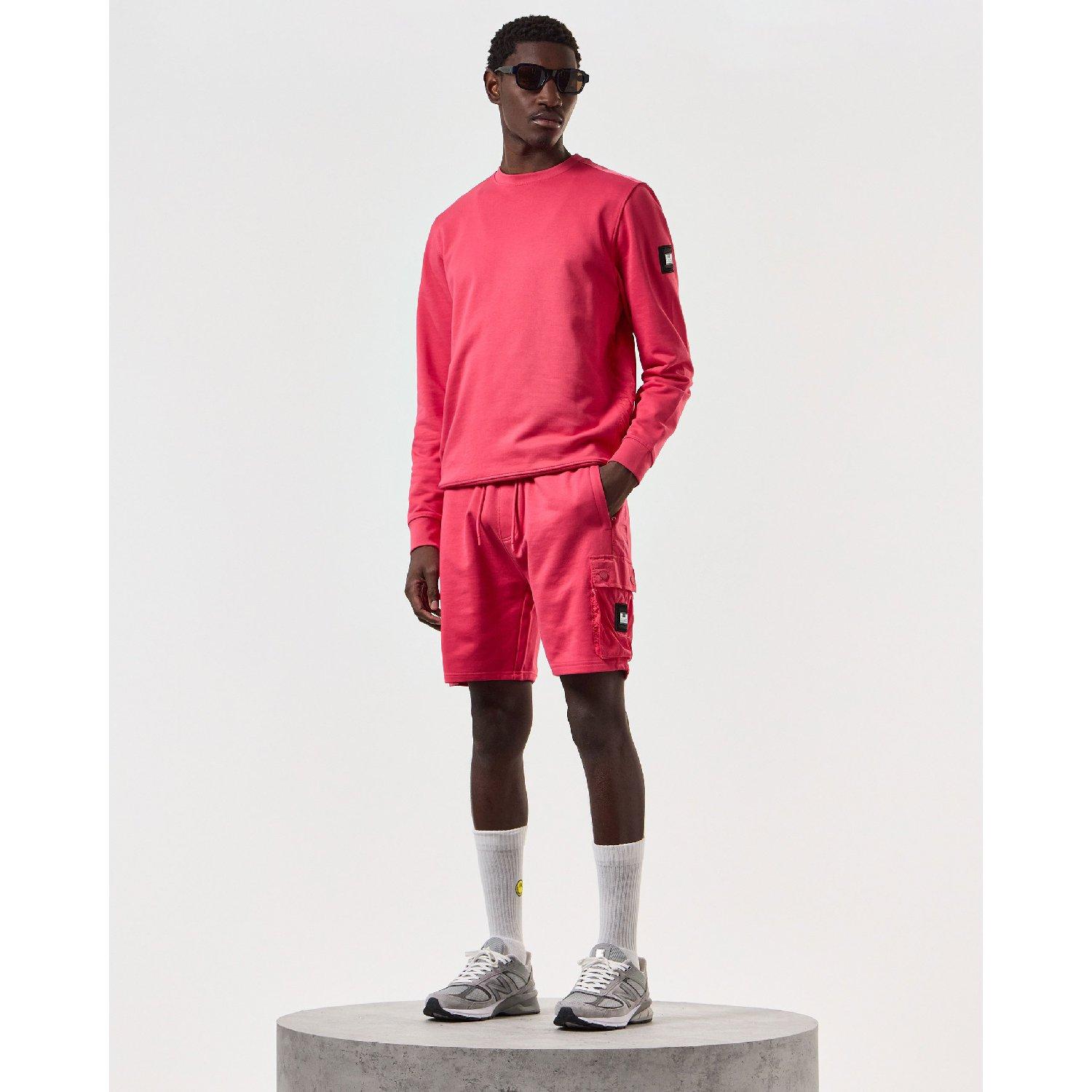 ANTRHURIUM - Weekend Offender - Weekend Pink Sands O Sn99 - 4