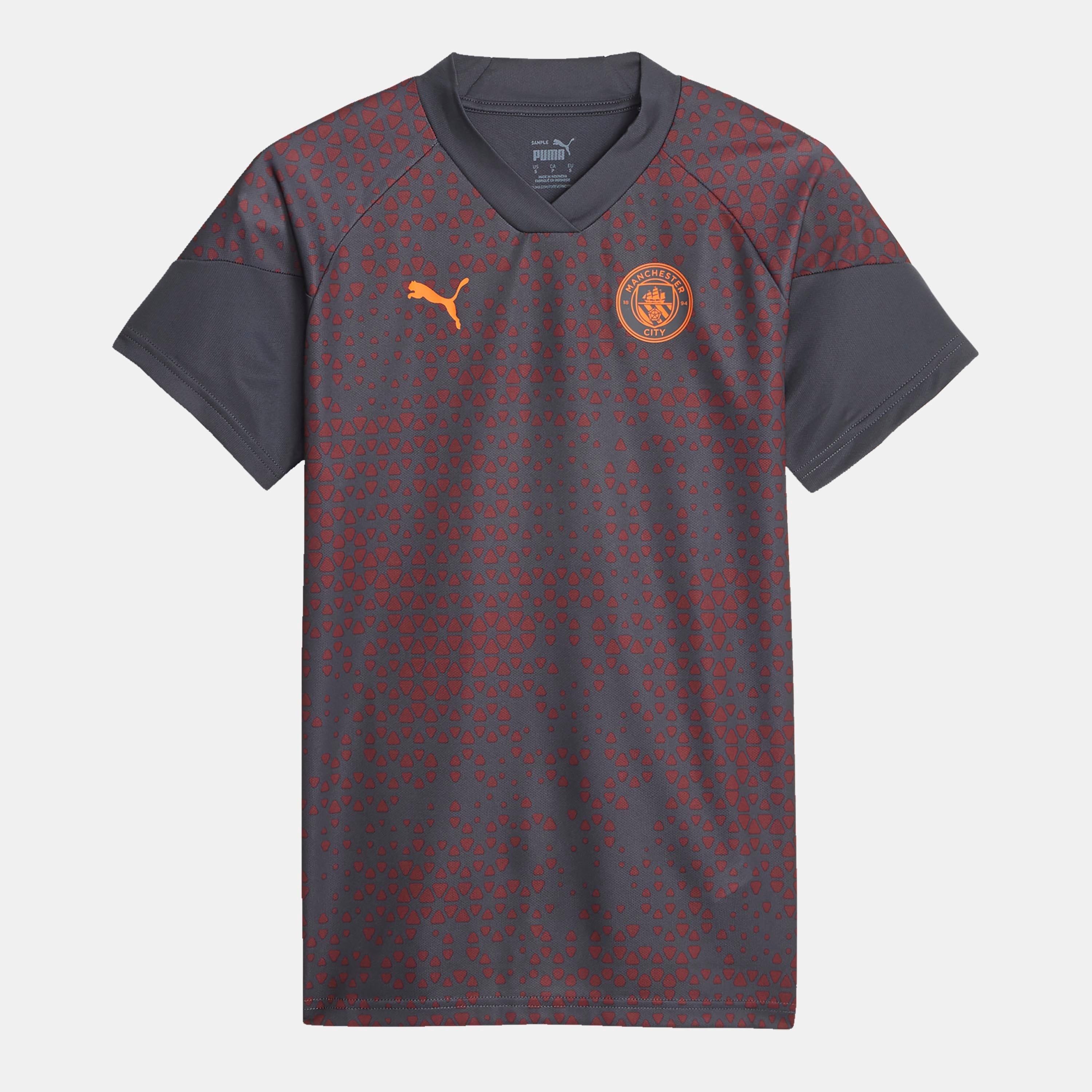 Grey - Puma - Manchester City Fc Training Jersey - 1