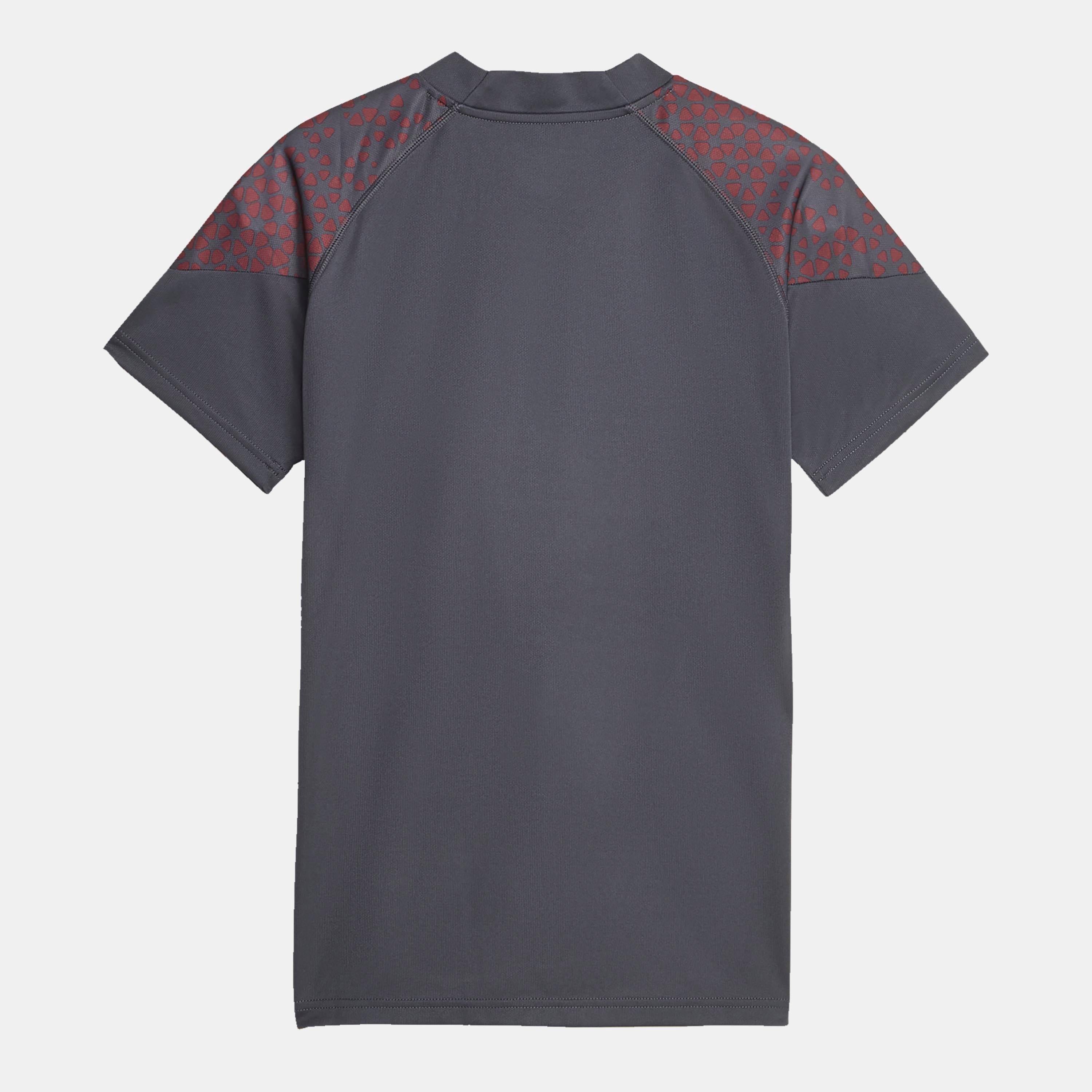 Grey - Puma - Manchester City Fc Training Jersey - 2