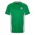 Celtic Poly T-Shirt Mens