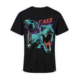 Jurassic Park Mens T Sn99