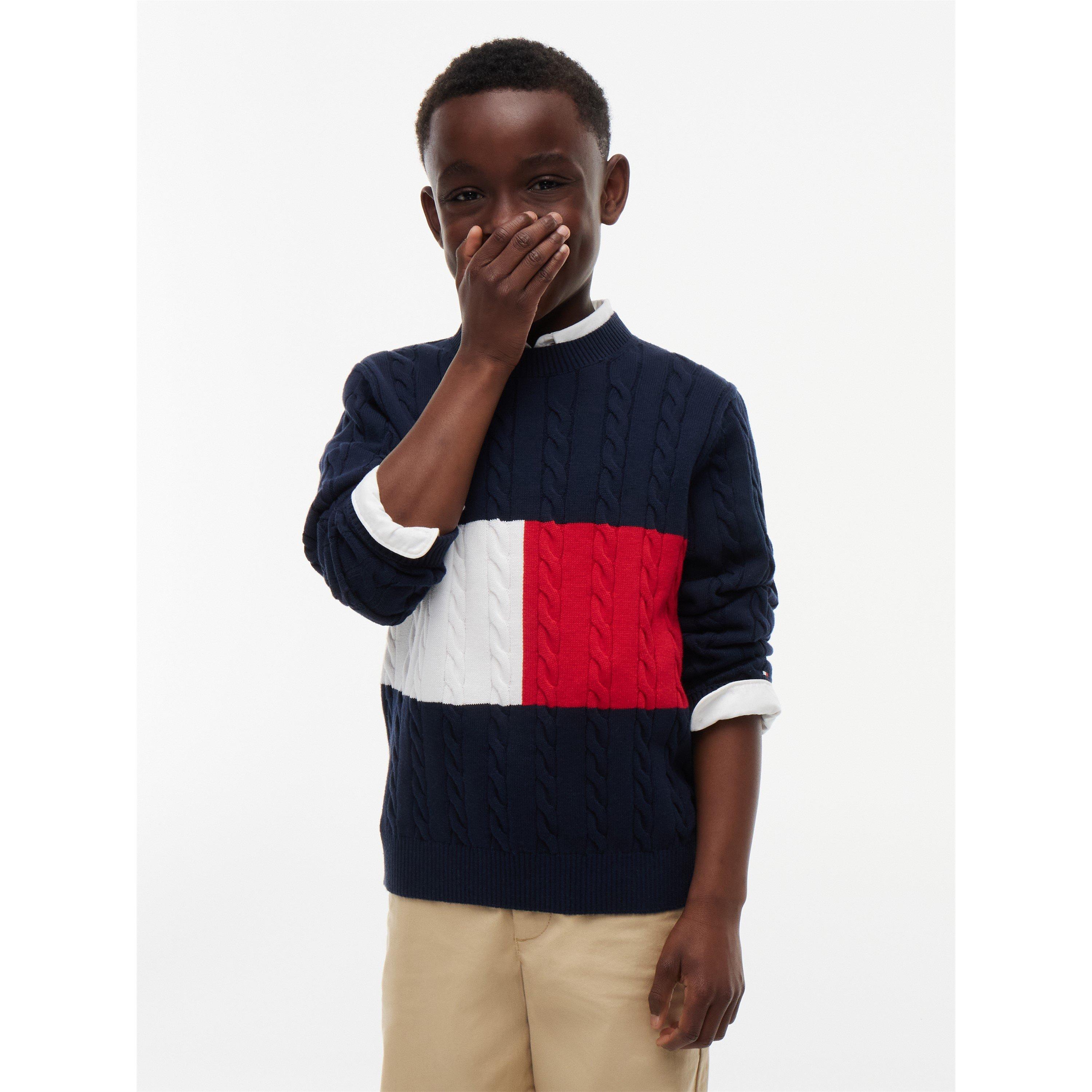 Blue Flag 0MS - Tommy Hilfiger - Tommy Lg Flag Knit Jn64 - 2